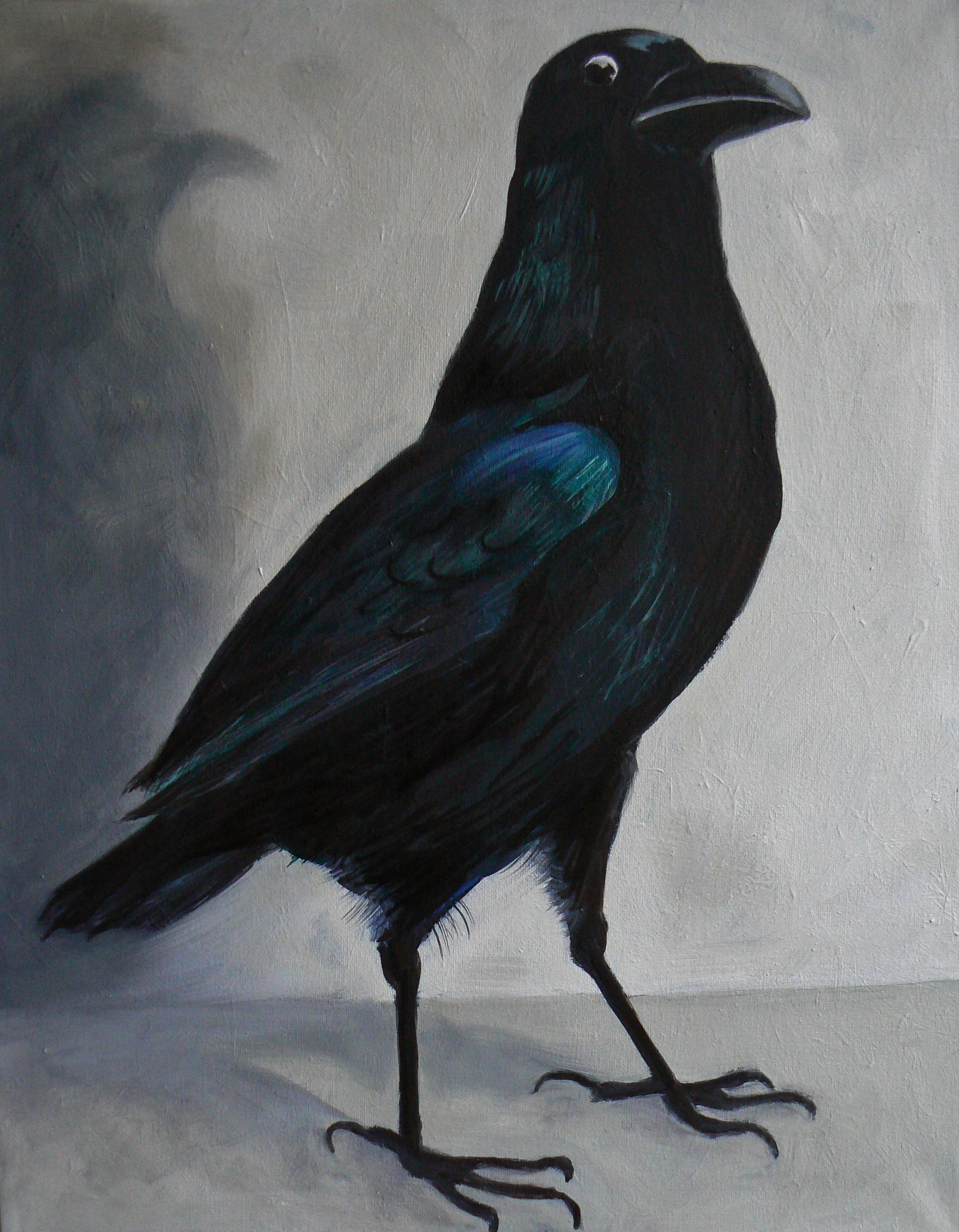 The Raven 2013