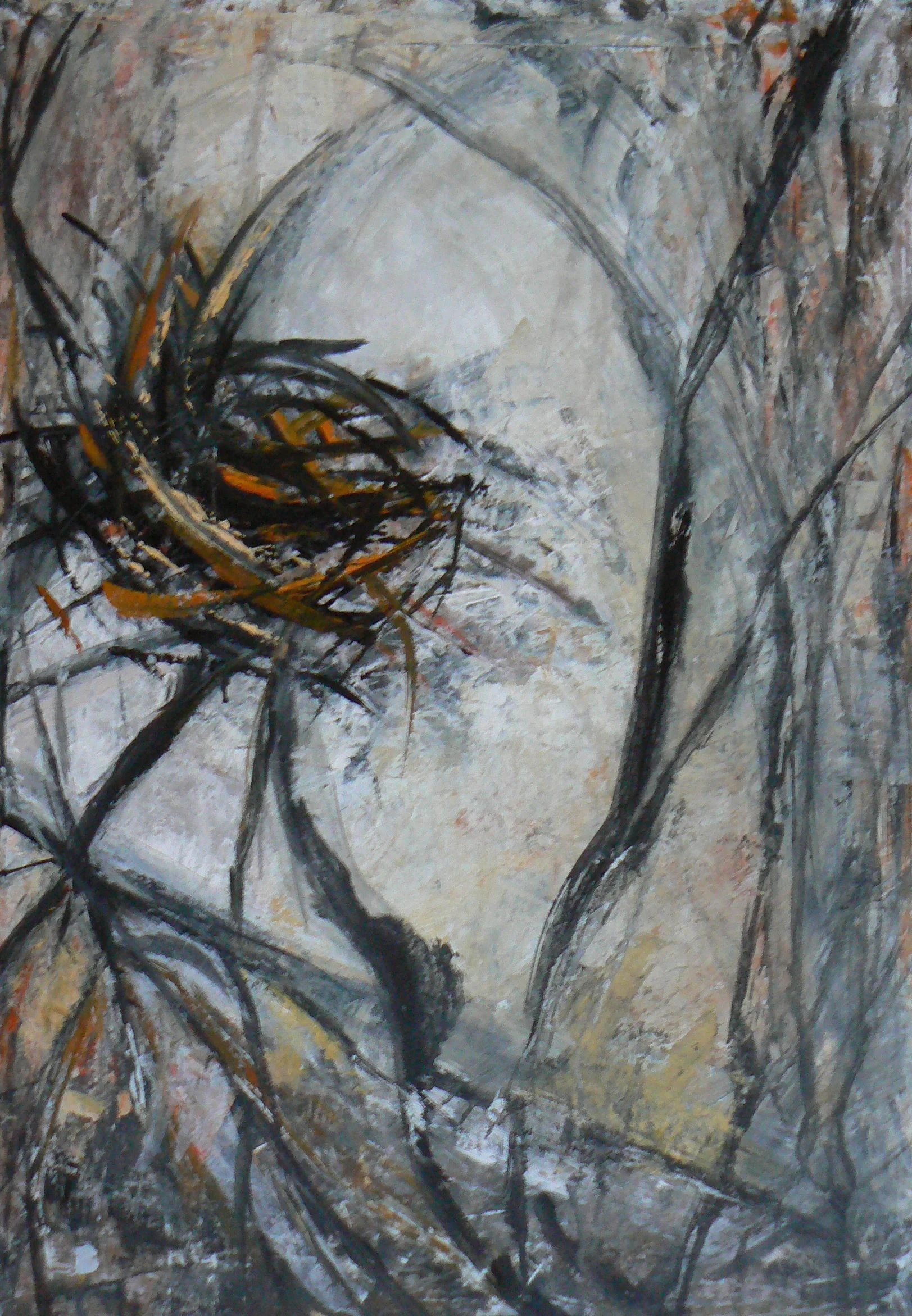 Rookery 2 2012