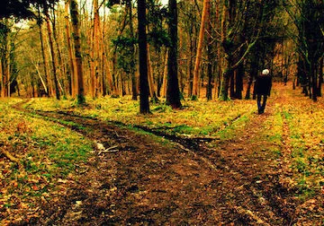 The Compass of The Word: Exploring Truth and Wonder in Poetry