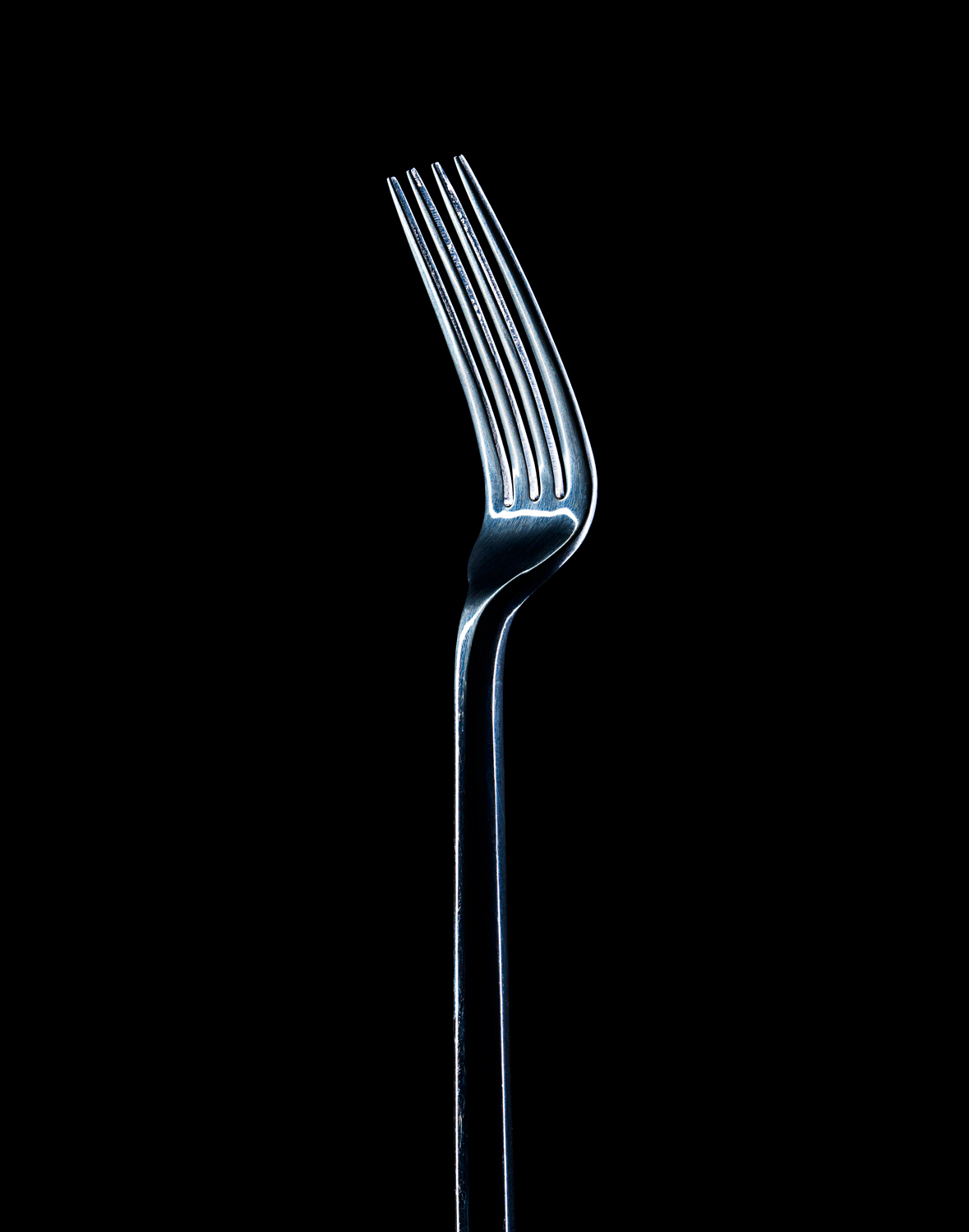 FORK.jpg