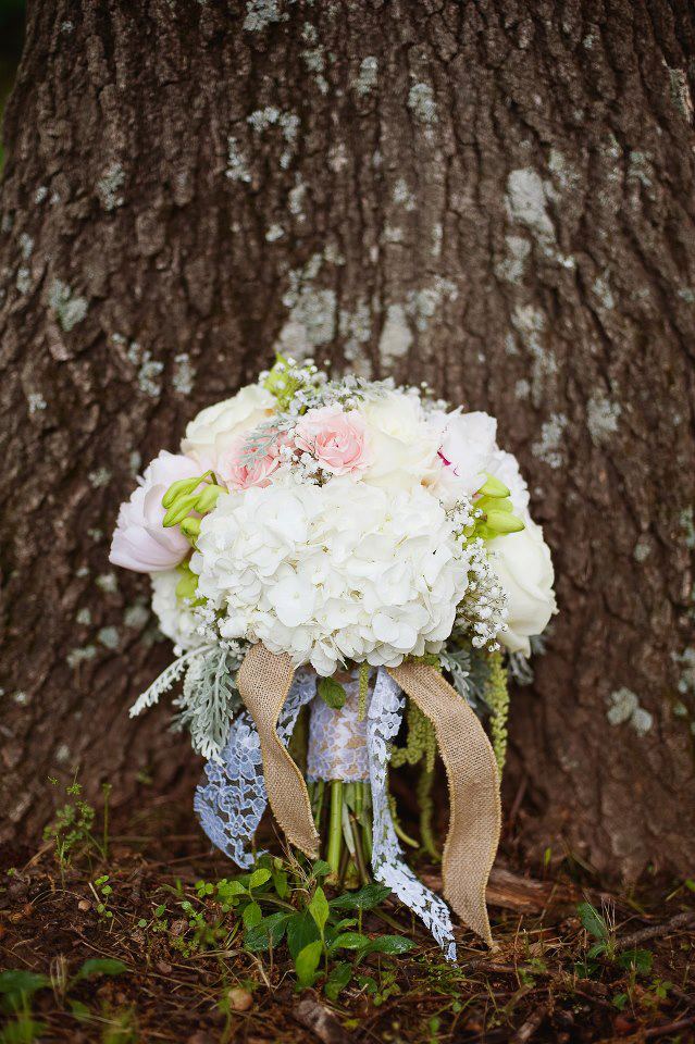 Elizabeth Leighton Photography