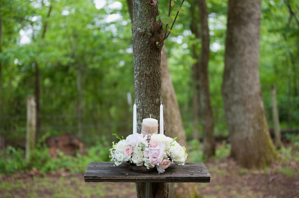 Elizabeth Leighton Photography