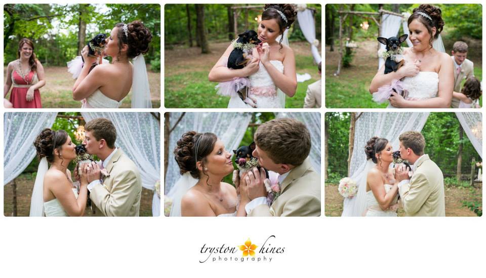 Tryston Hines Photography , from Megan + Jonathan 's wedding