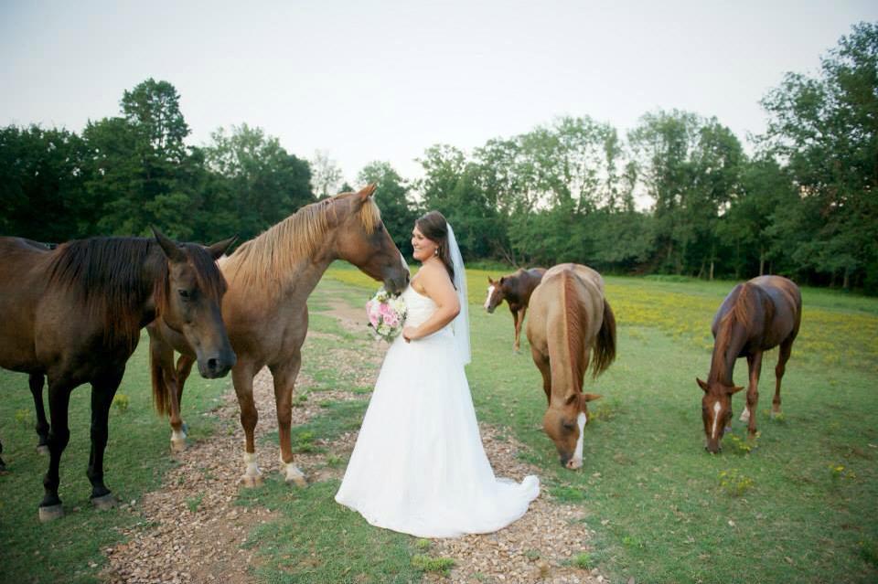 Danielle Davis Art/Photography . Our horses are trained models. And they love showing out for bridal shoots. But seriously, Ashton's bridals were stunning!