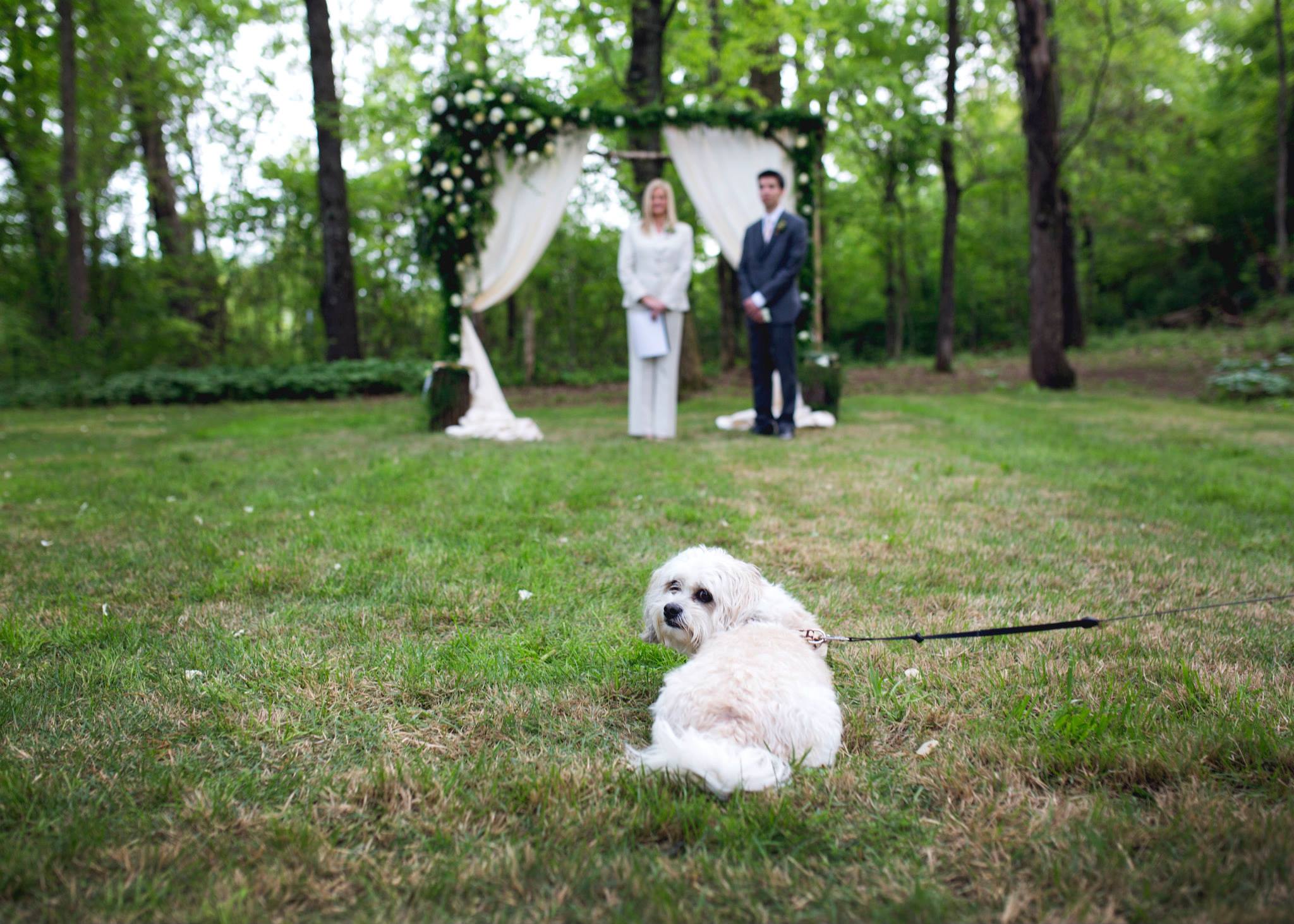 Pictures by Katie . Kelsey + Gueorgui 's dog Berba is adorable, y'all! He was a big hit at their wedding.