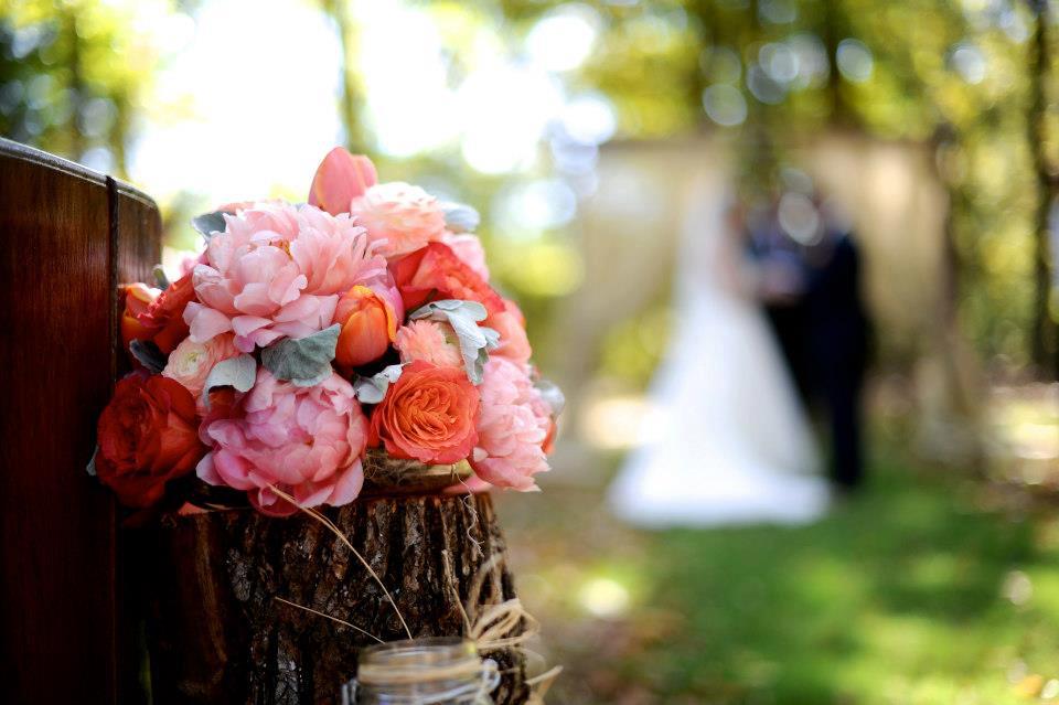 BnBauman Photography , from Hayley + Zach 's wedding
