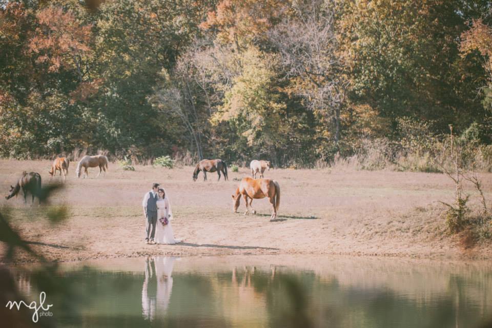 MGB Photo , from Meagan + Alex 's wedding. Even the land around The Barn is pretty! All 35 acres of it. 
