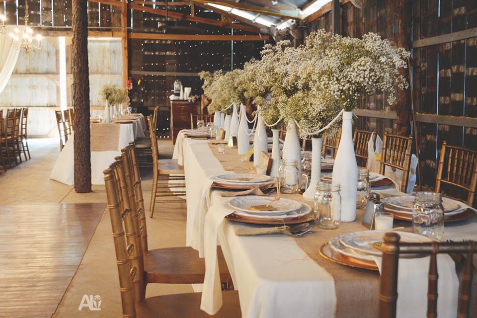 Amber Lane Photography , from Molly + Chris 's wedding