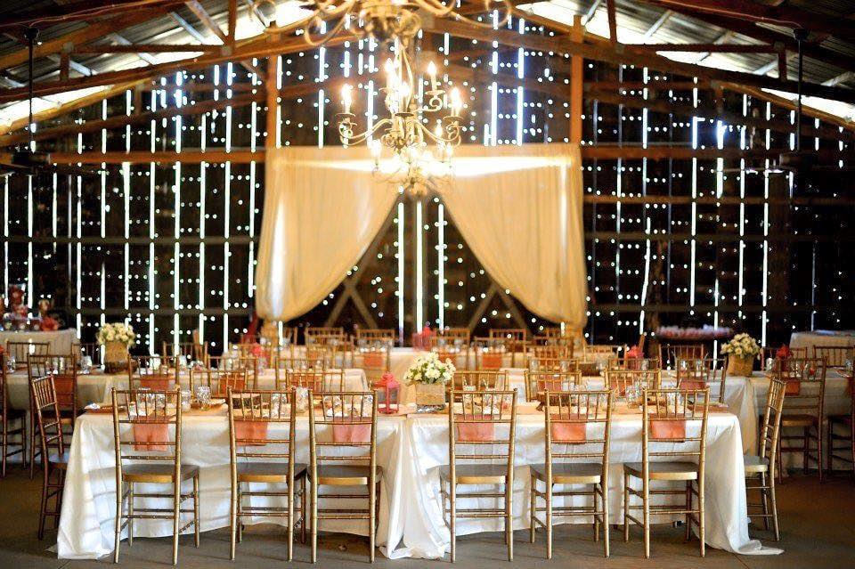 BnBauman Photography , from Hayley + Zach 's wedding