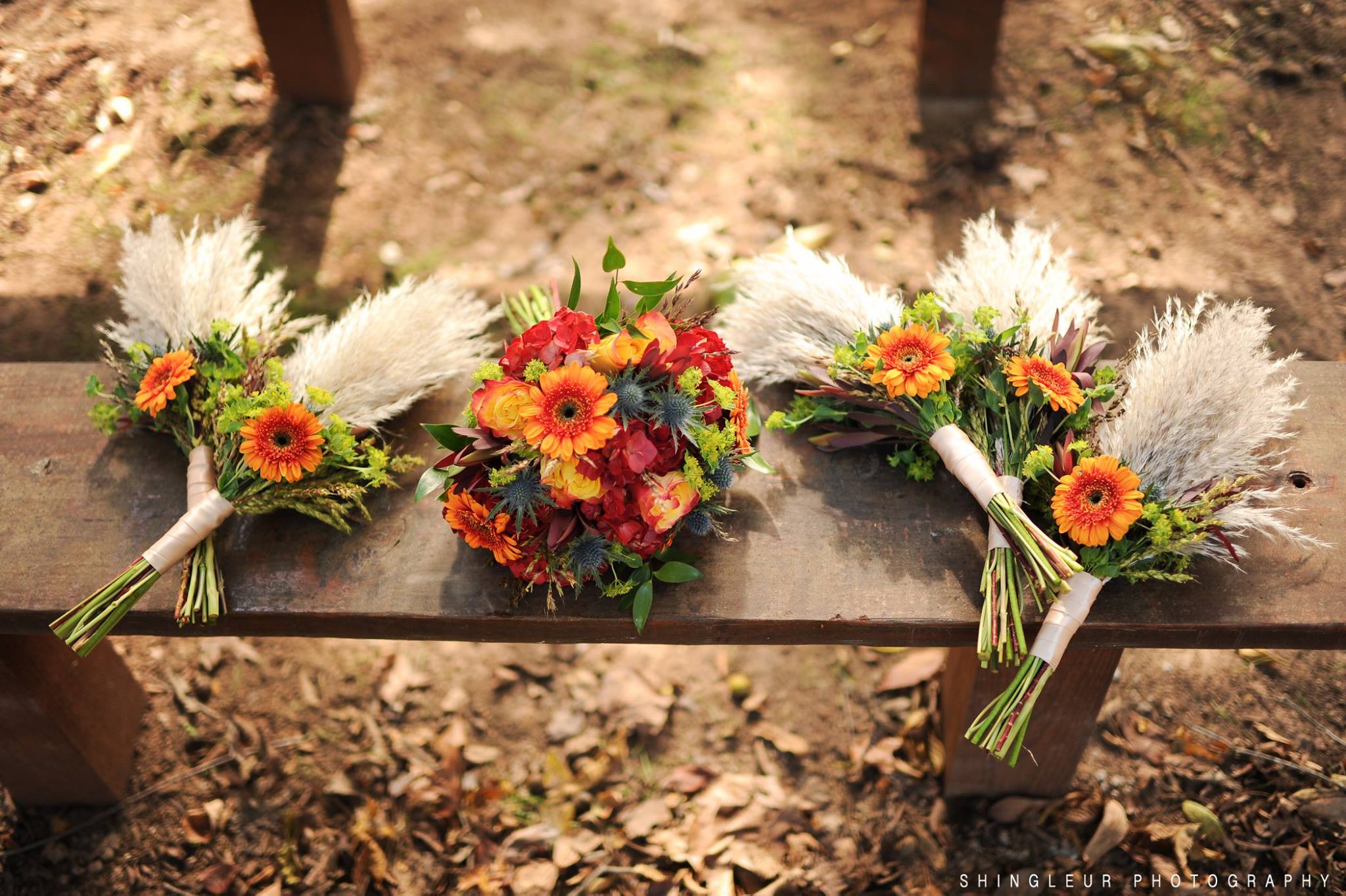 Shingleur Photography , from Hatley + Charles ' wedding