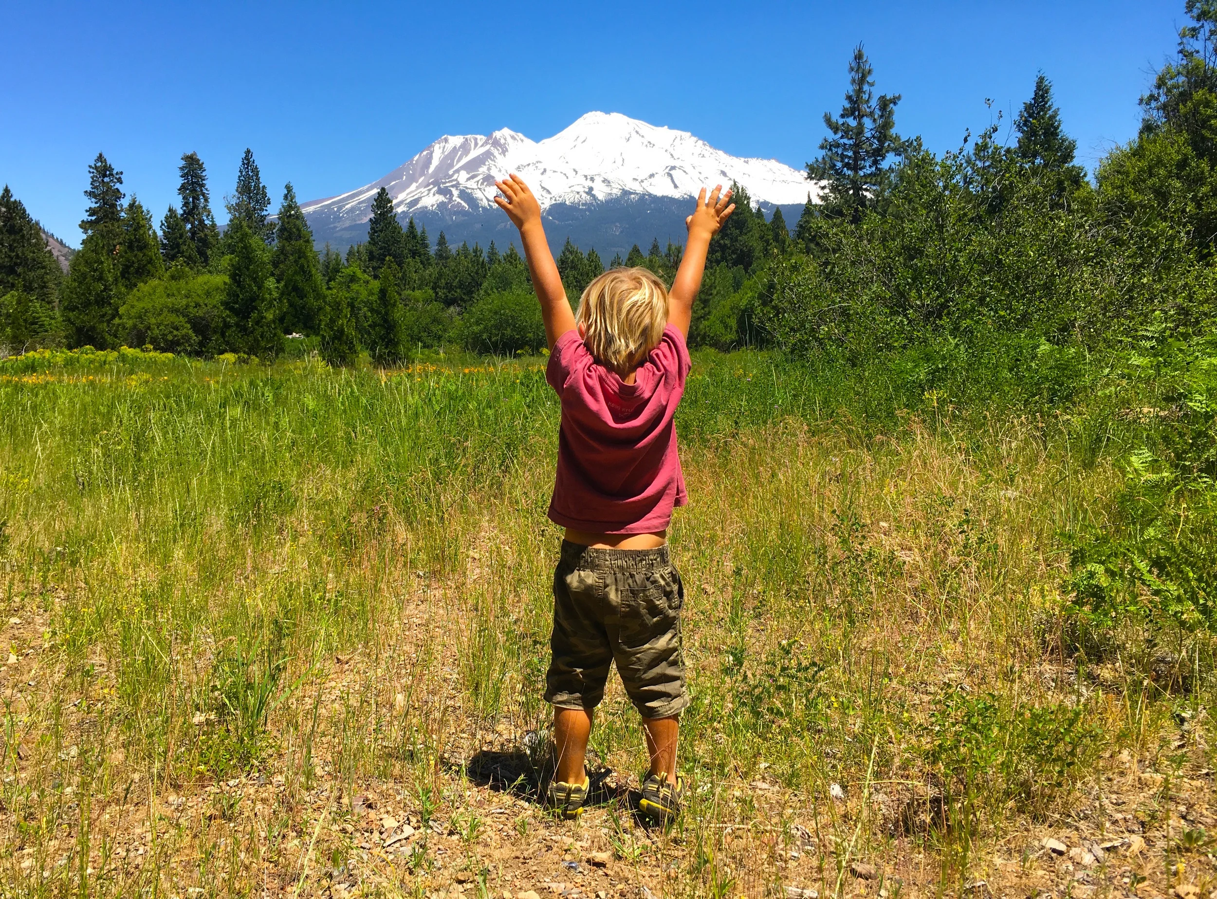 Raphael with Mount Shasta