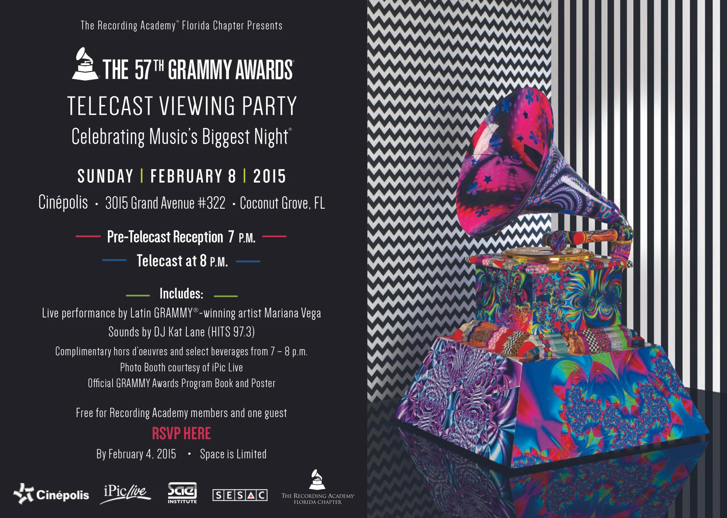 GrammyViewingParty.jpg