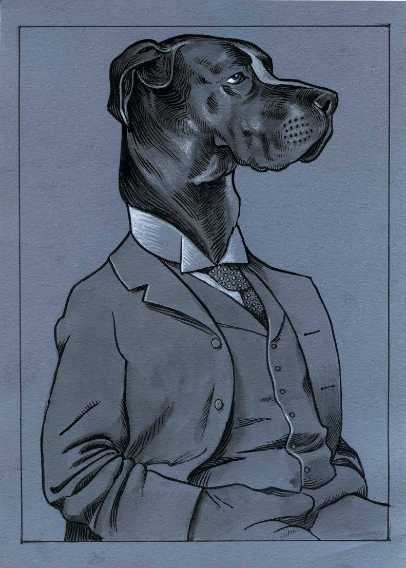 Dandymals 2 - Dog