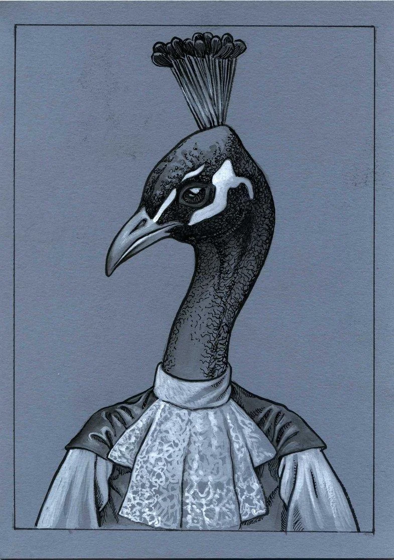 Dandymals 2 - Peacock
