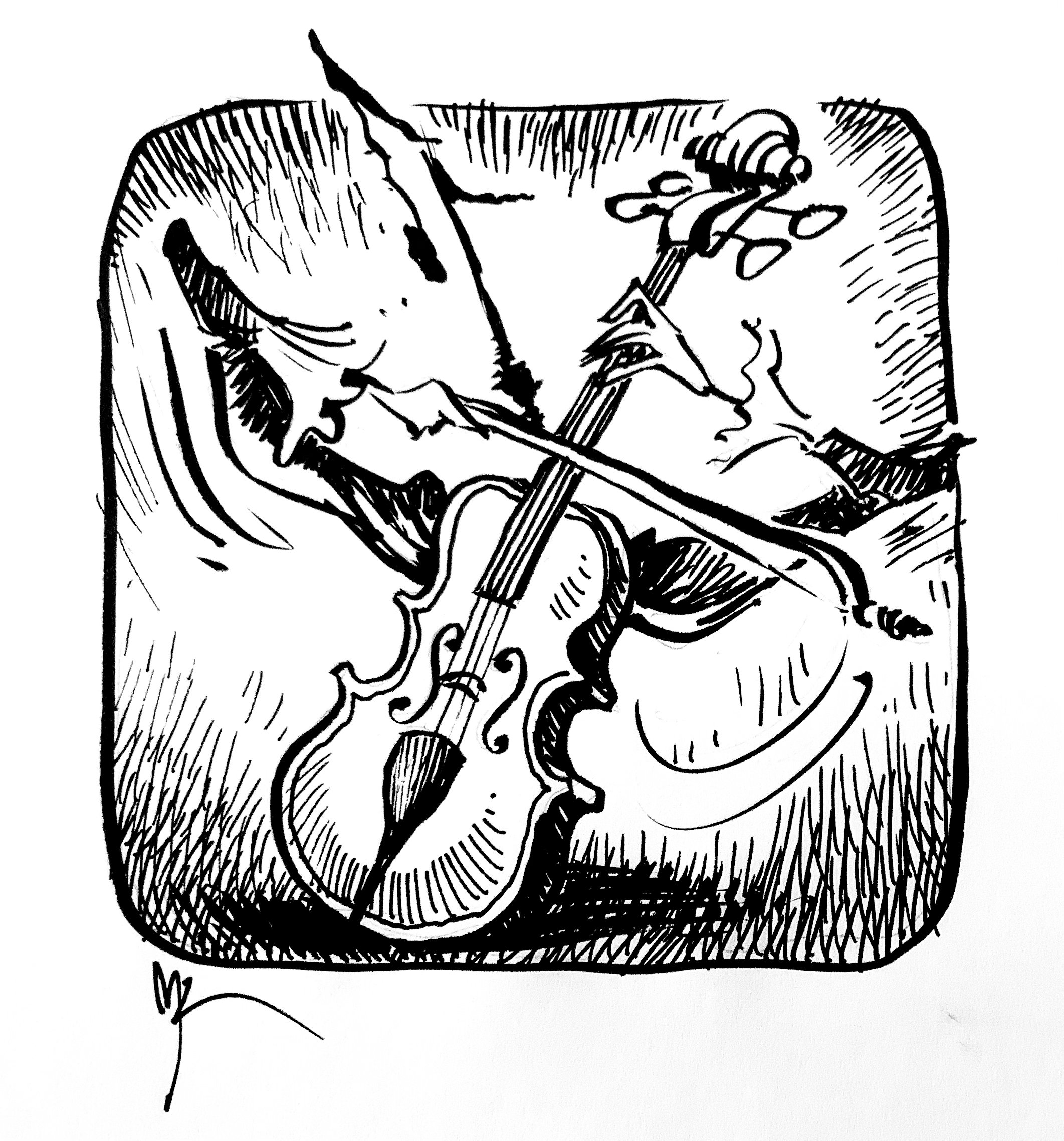 Violin