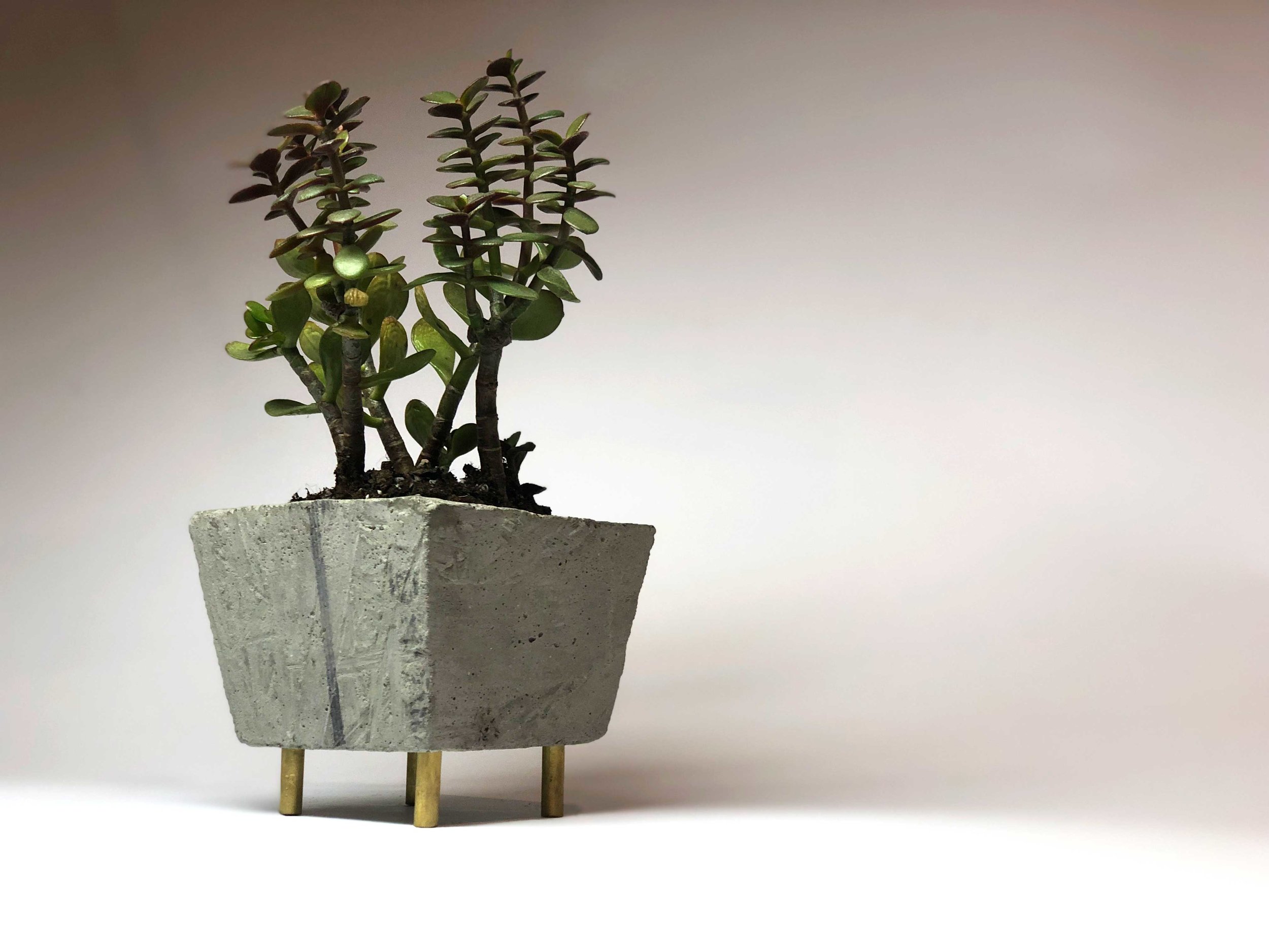 Planter---Bottom.jpg