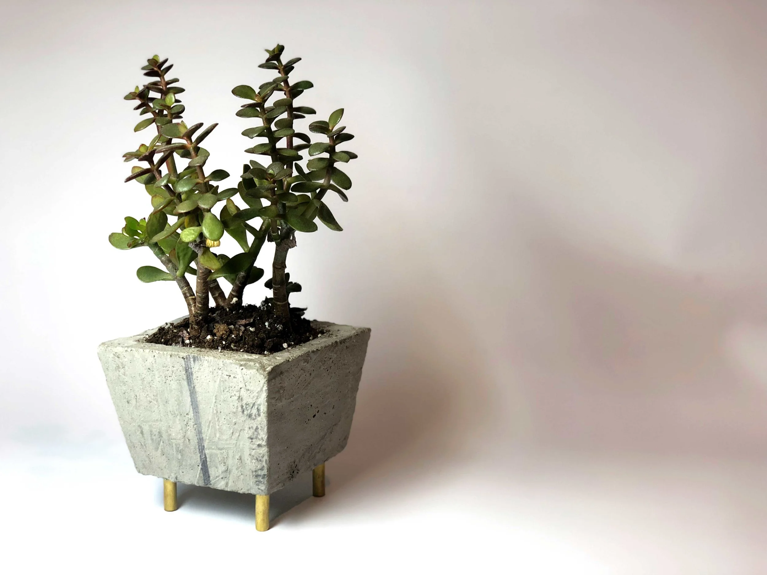 Concrete Planter Small