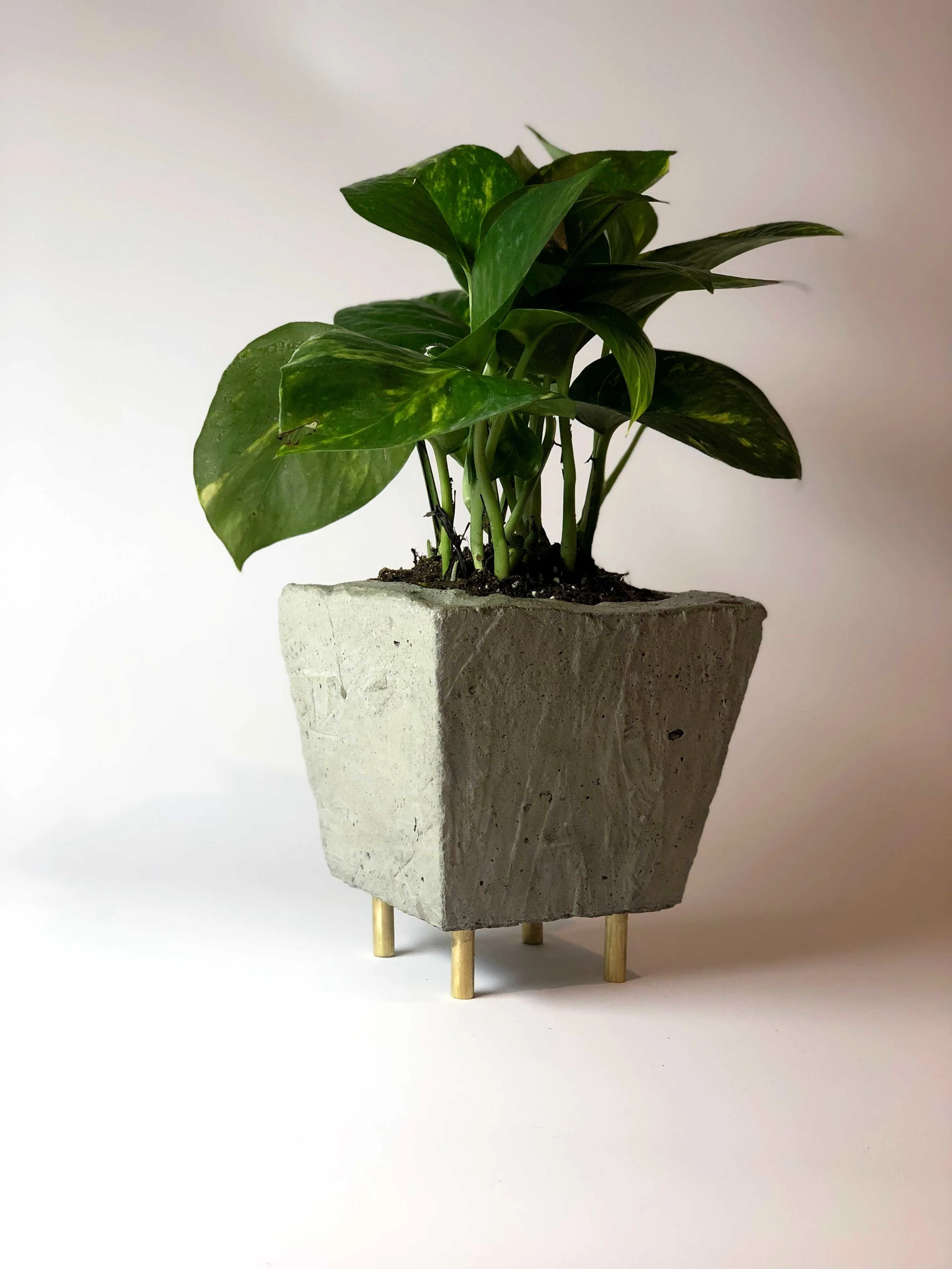 Concrete Planter Medium