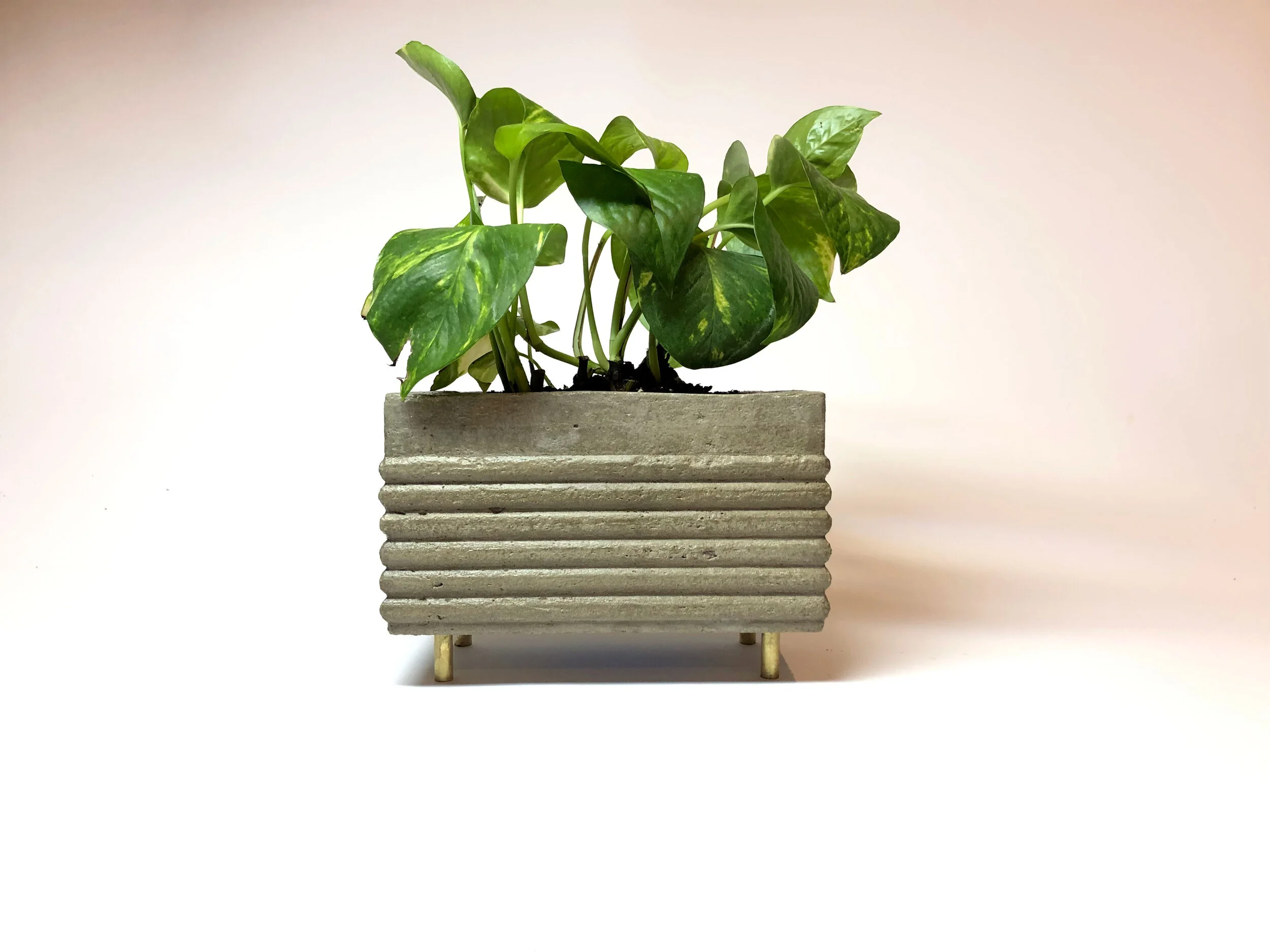 Beveled Concrete Planter