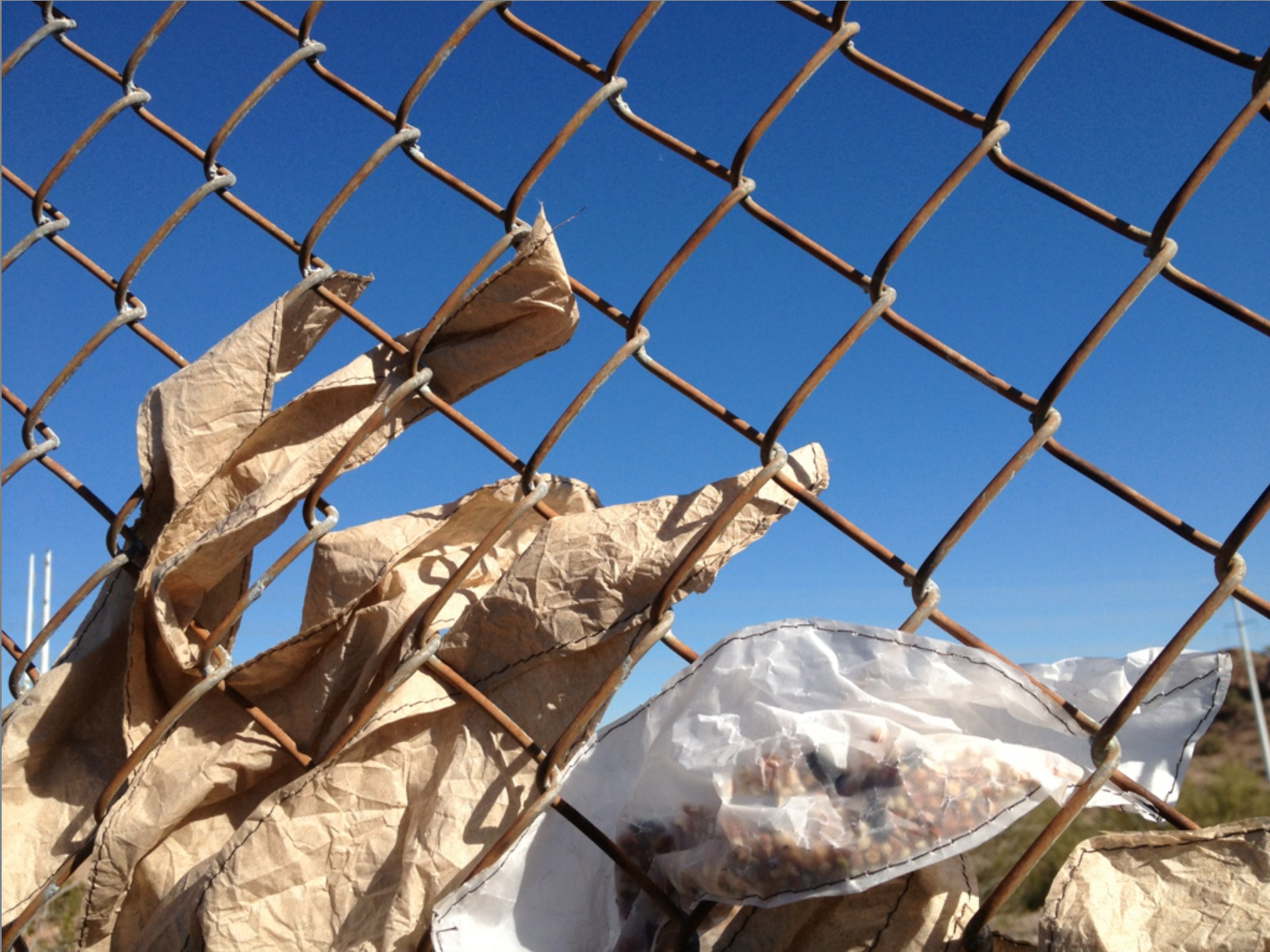 Screen Shot 2013-12-30 at 12.56.26 PM.png