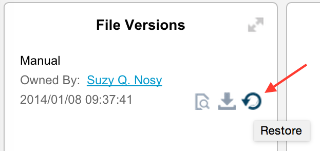 Restore a Particular File Version