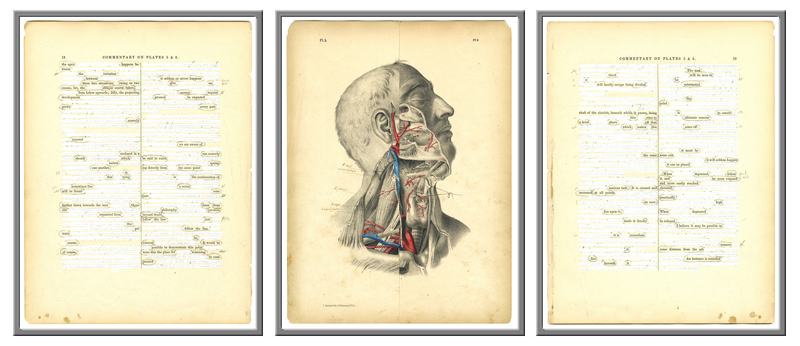 Surgical Pages. Plates 5 and 6