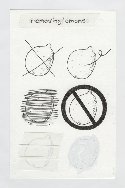 Removing Lemons 296