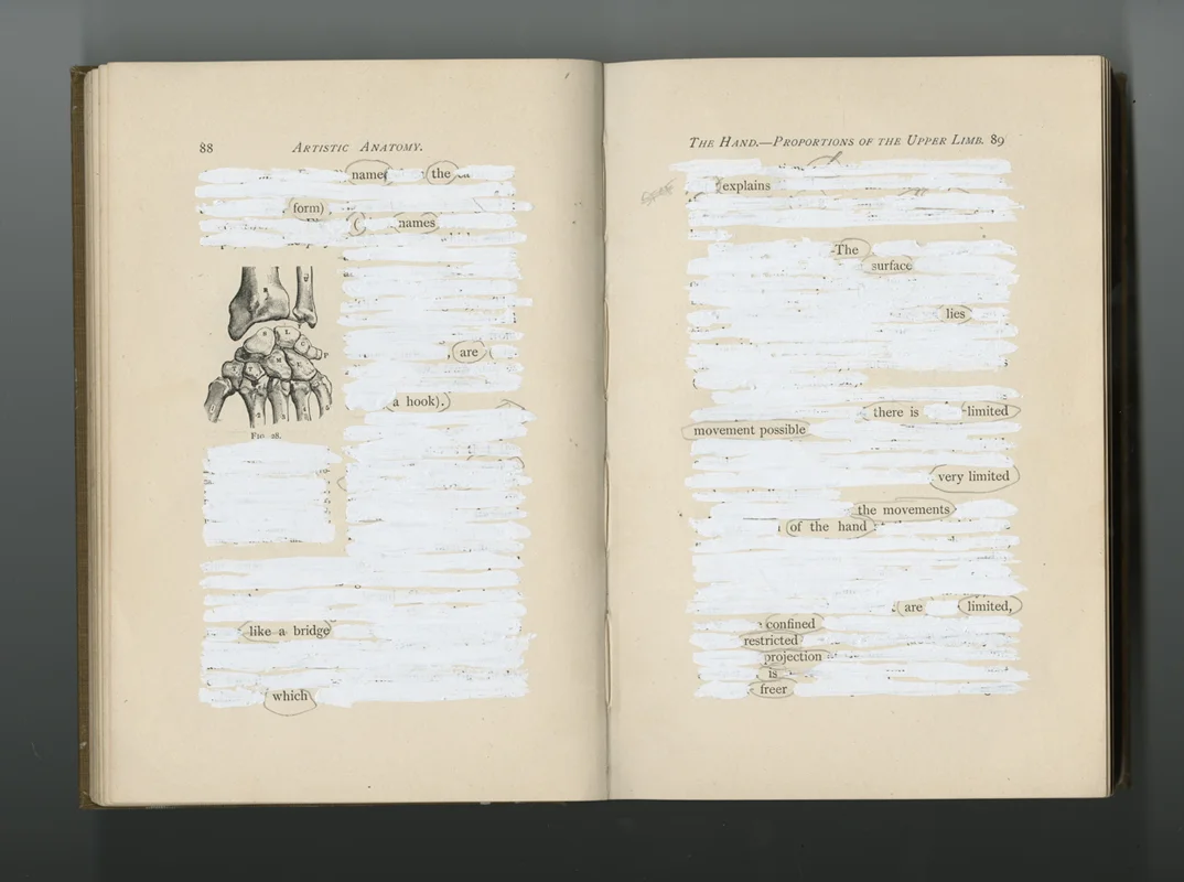 The White Out Book, pp. 88-89