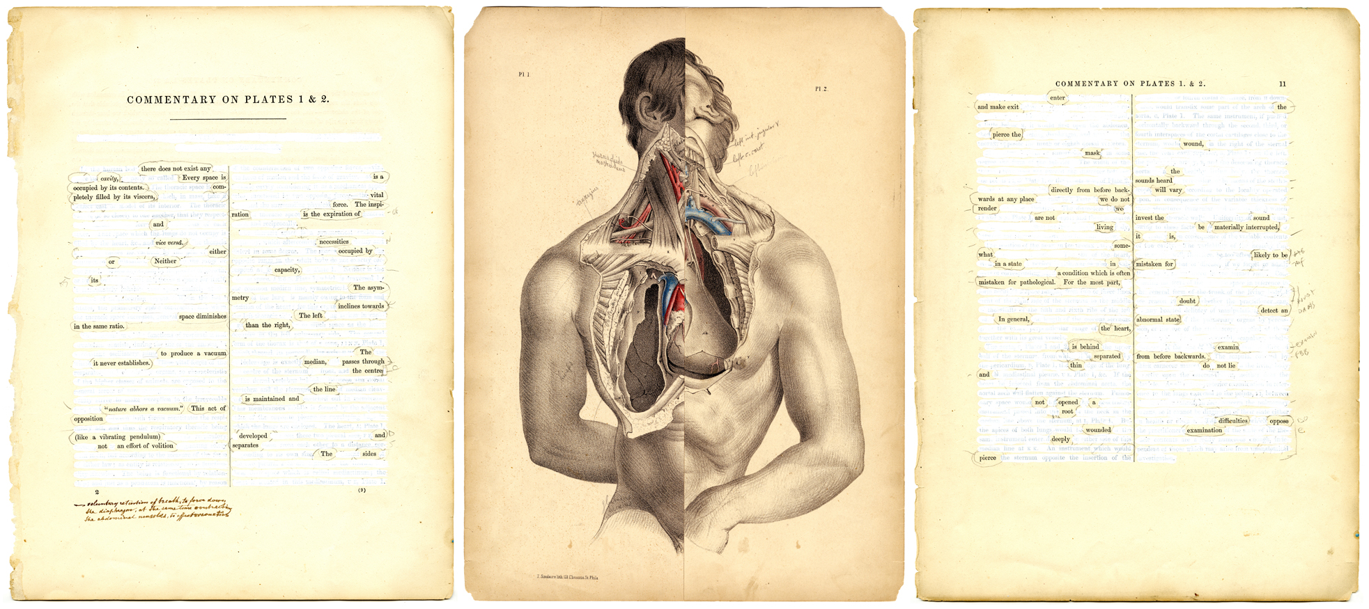 Surgical Pages, Plates 1 and 2