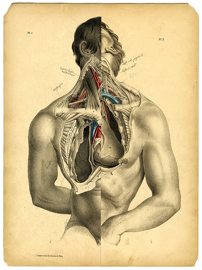Surgical Pages, Plates 1 and 2