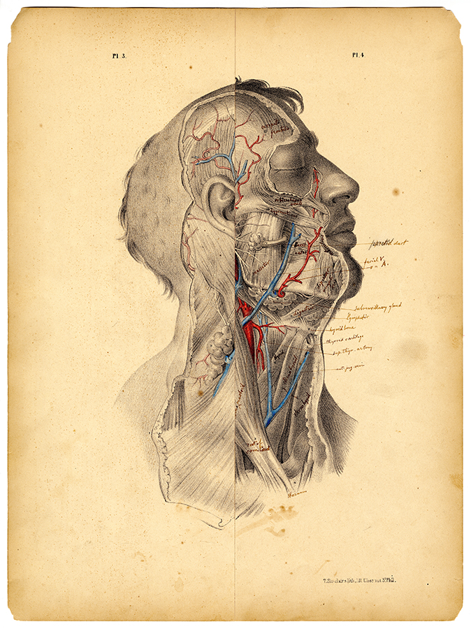 Surgical Pages, Plates 3 and 4