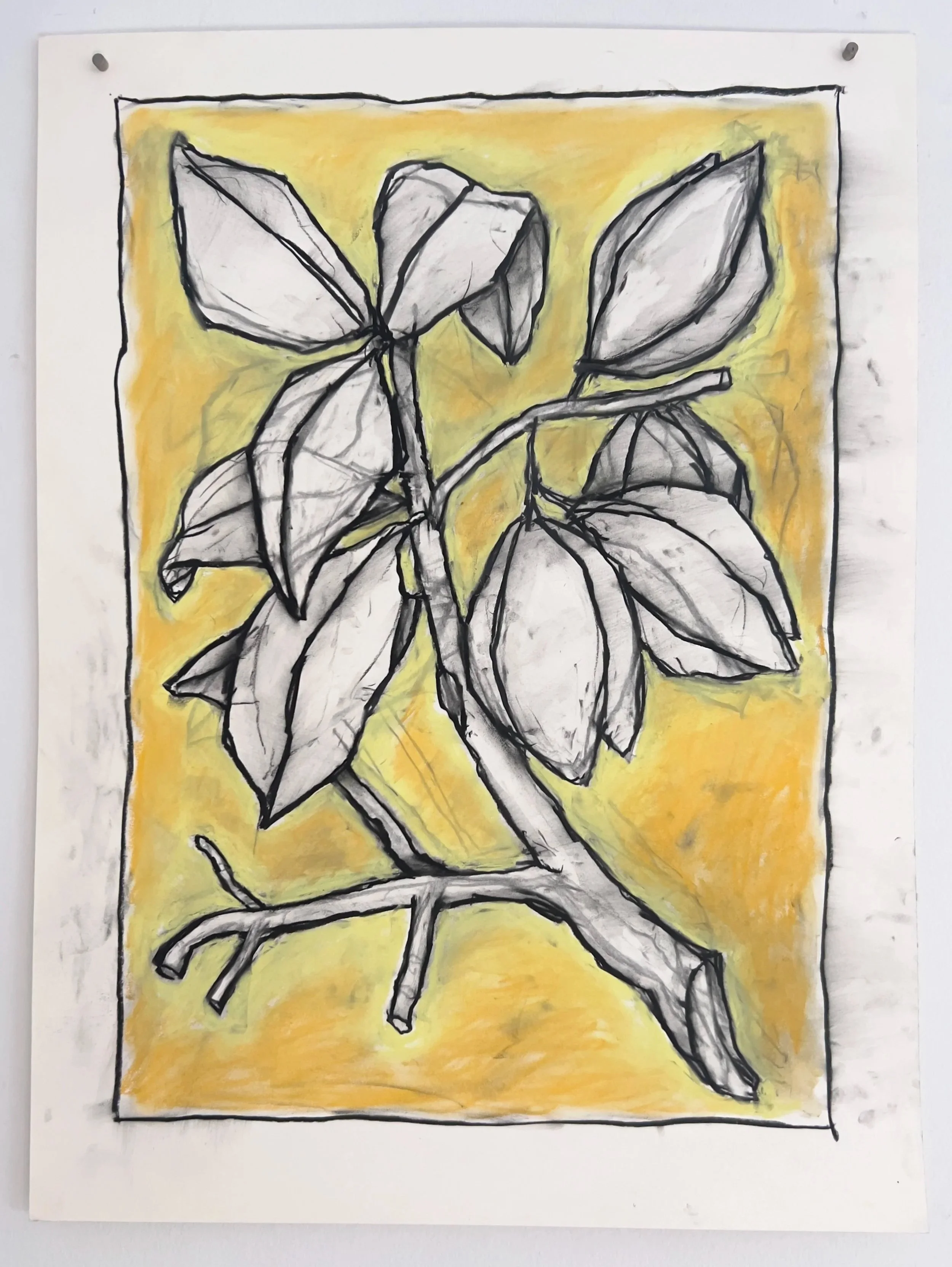 Botanicals 235.