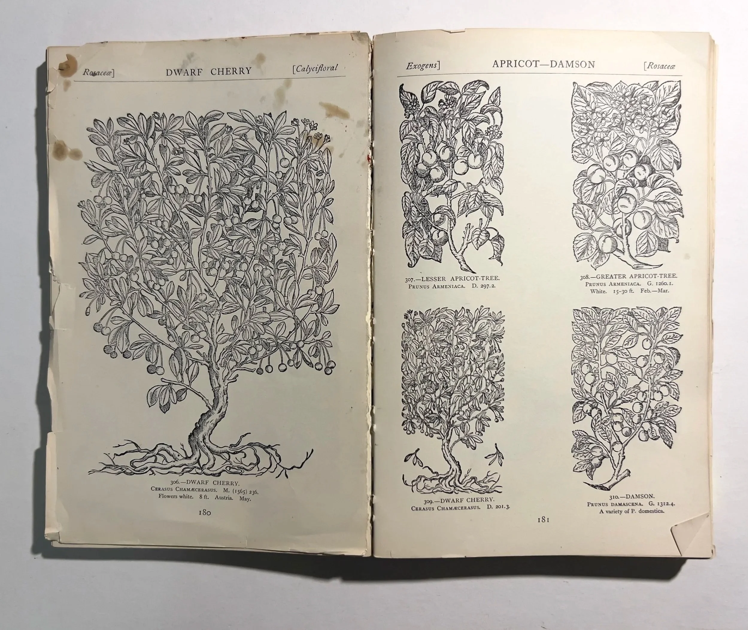  Each work corresponds to a particular (numbered) drawing from this book. 