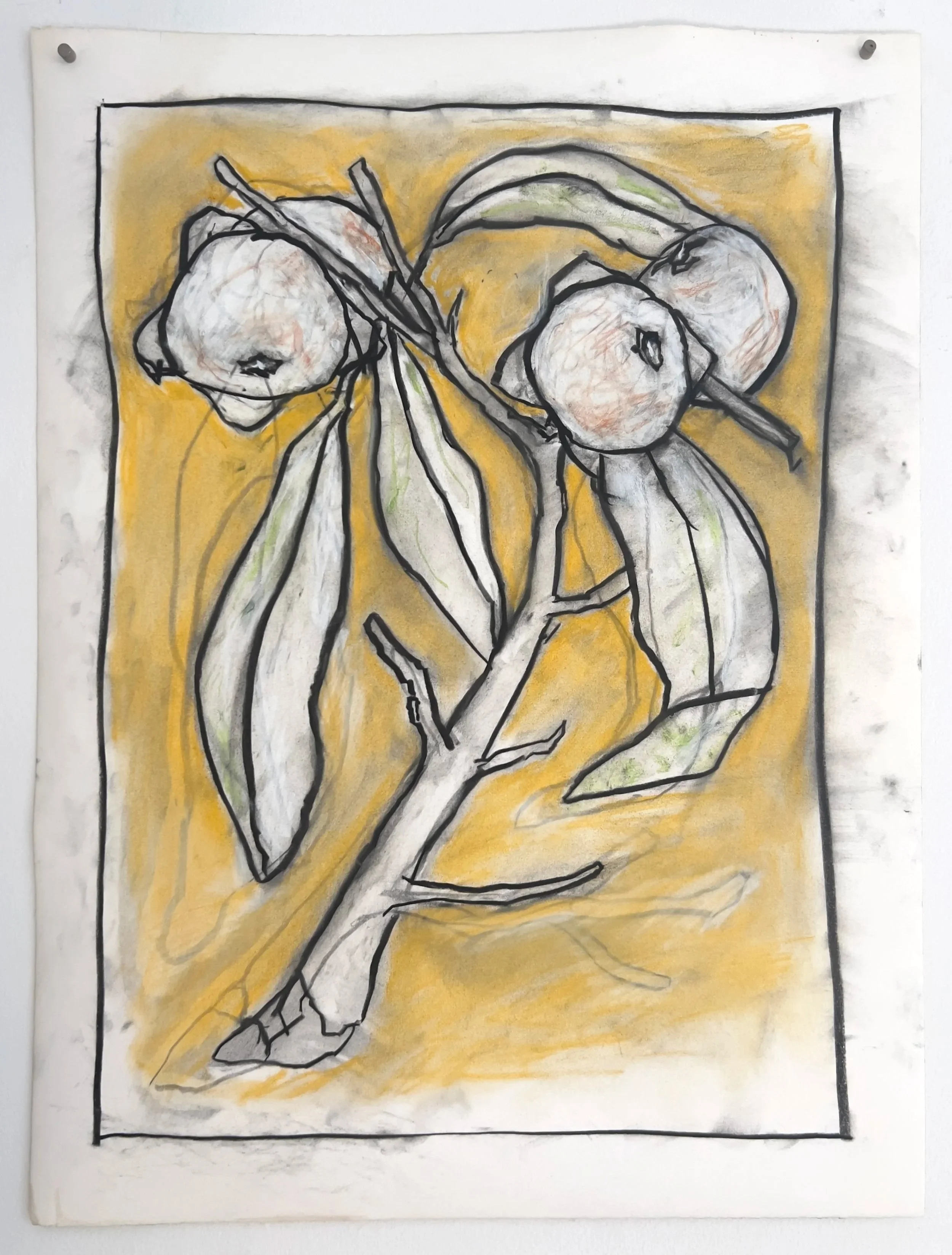 Botanicals 602.