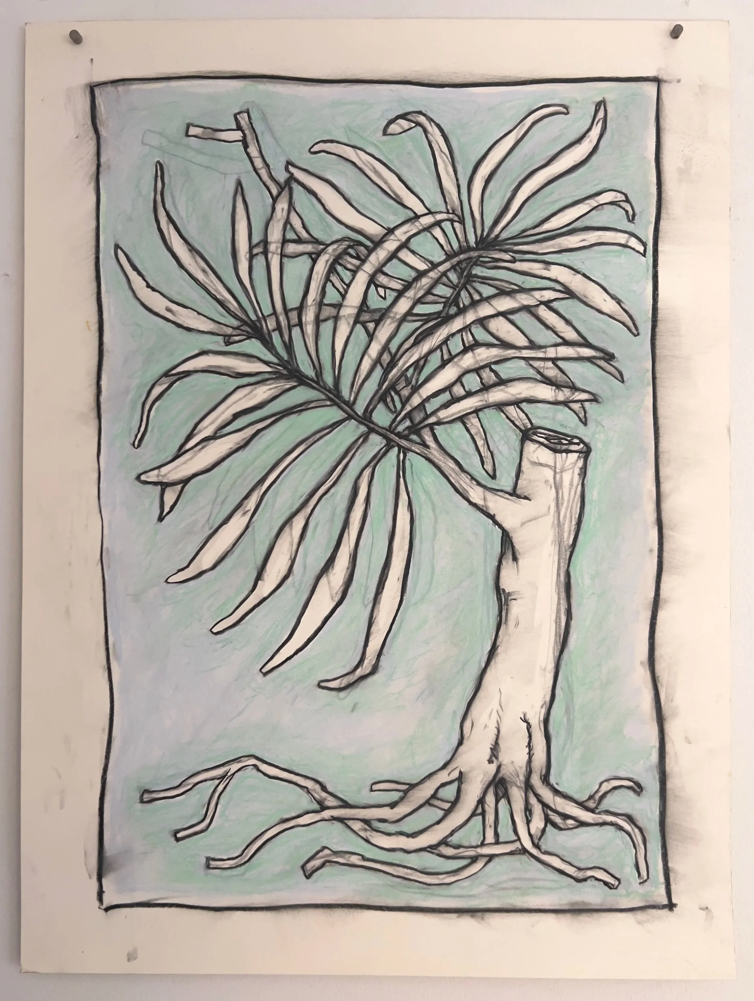 Botanicals 860.