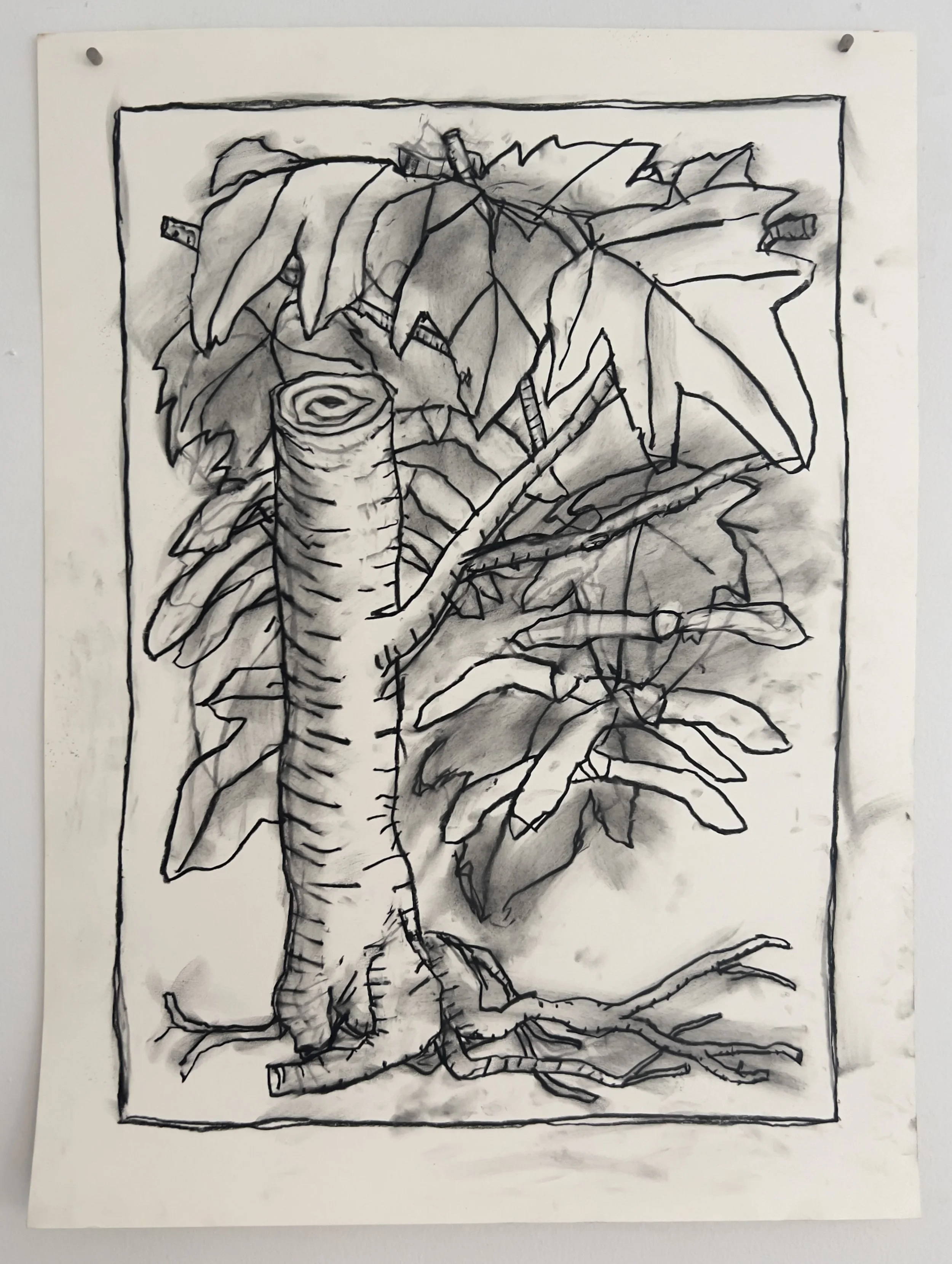 Botanicals 204.