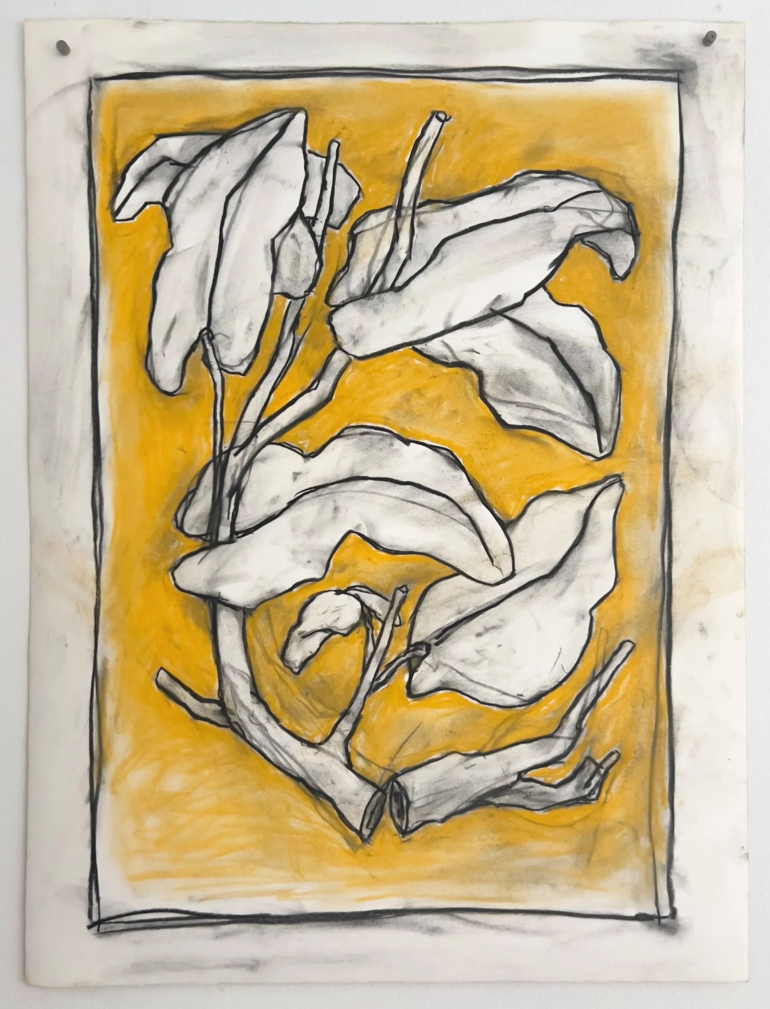 Botanicals 102.