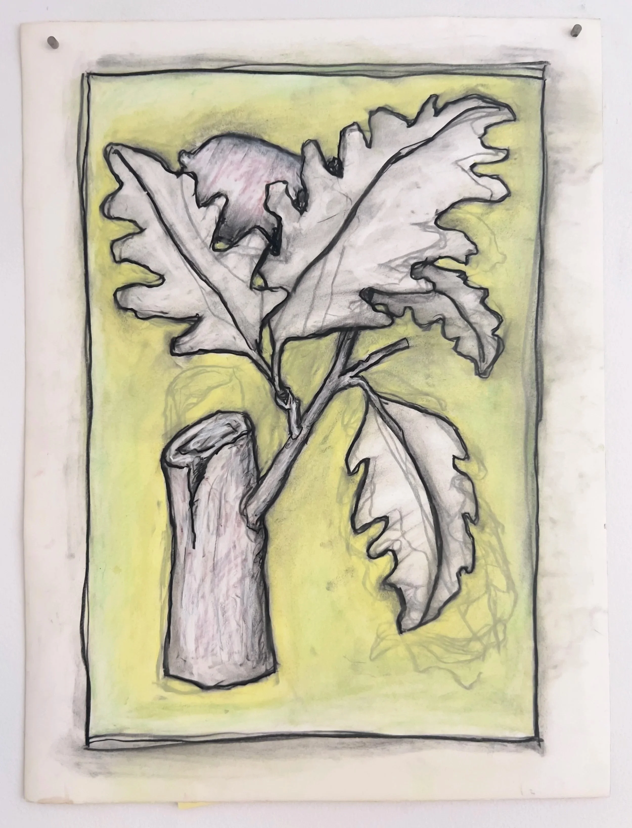 Botanicals 814.