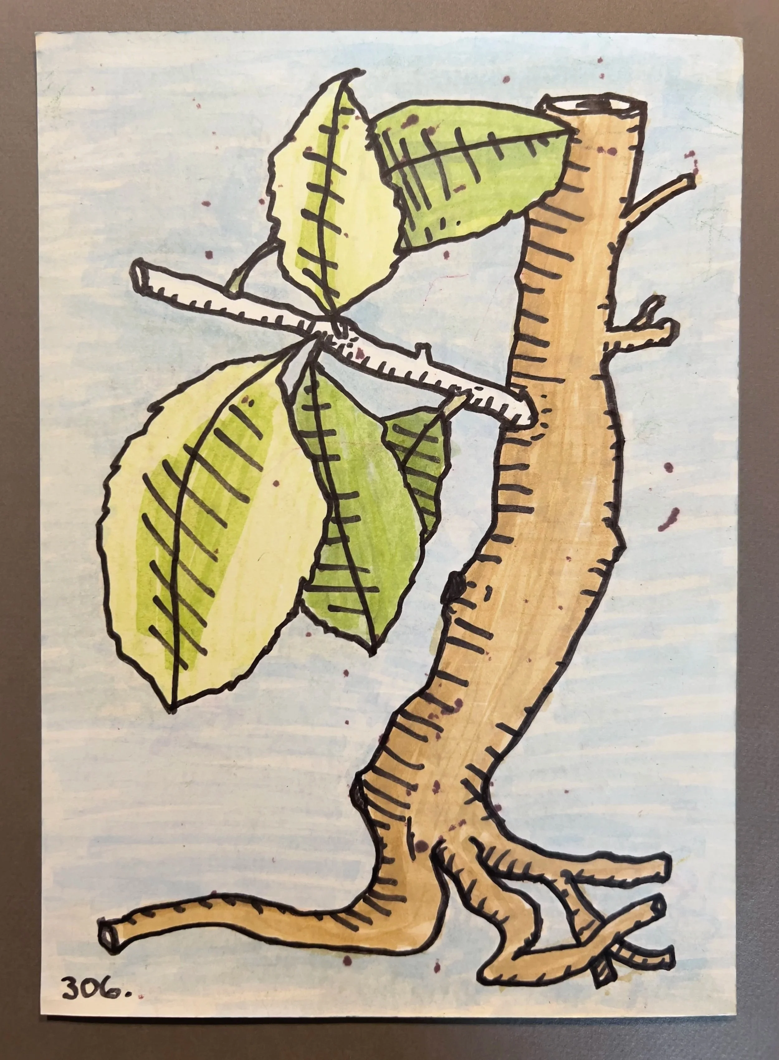 Botanicals 306.