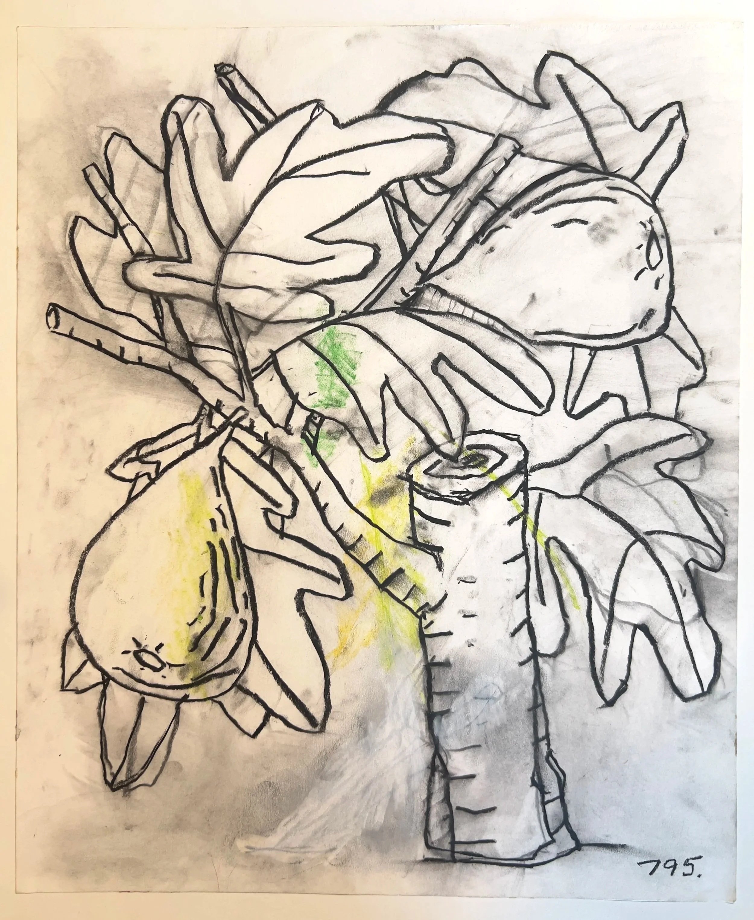 Botanicals 795.