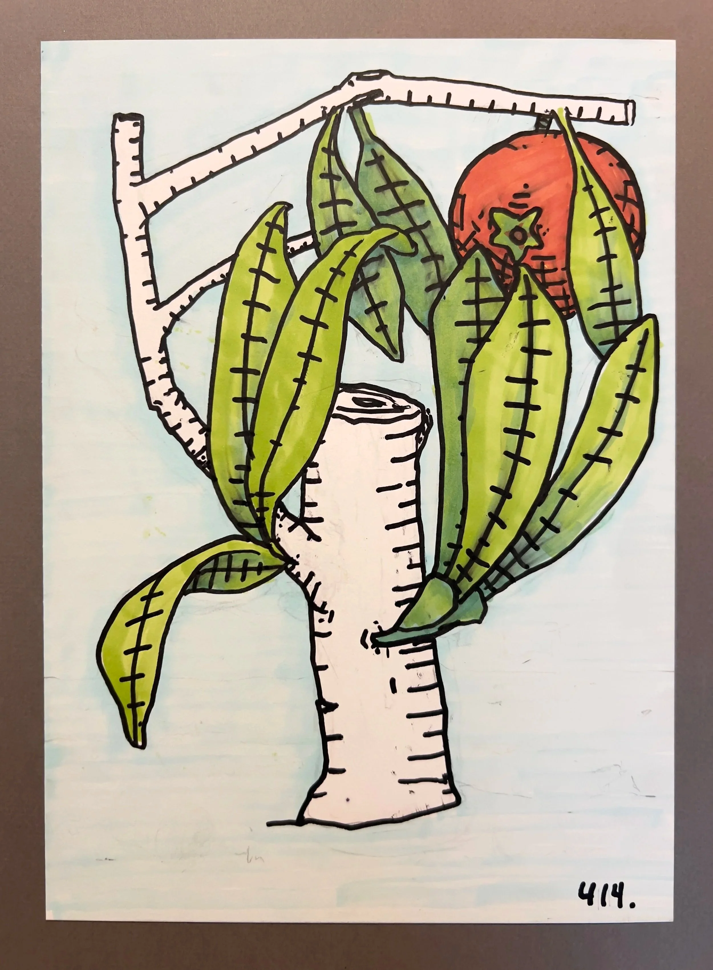 Botanicals 414.