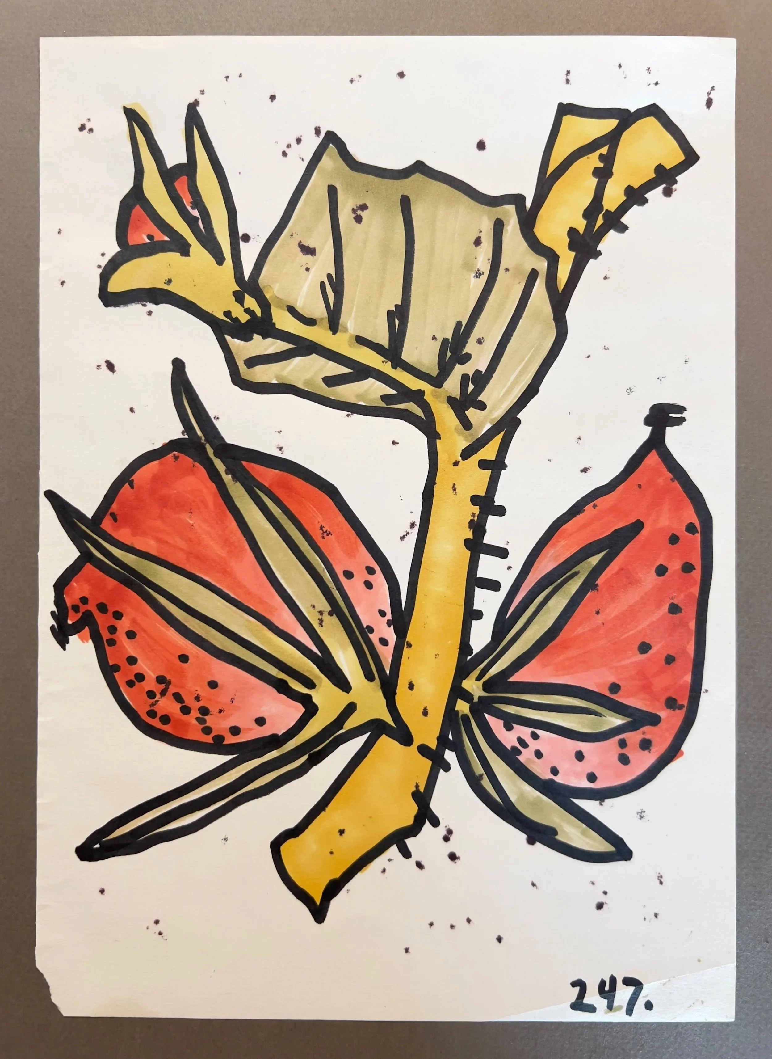Botanicals 247.