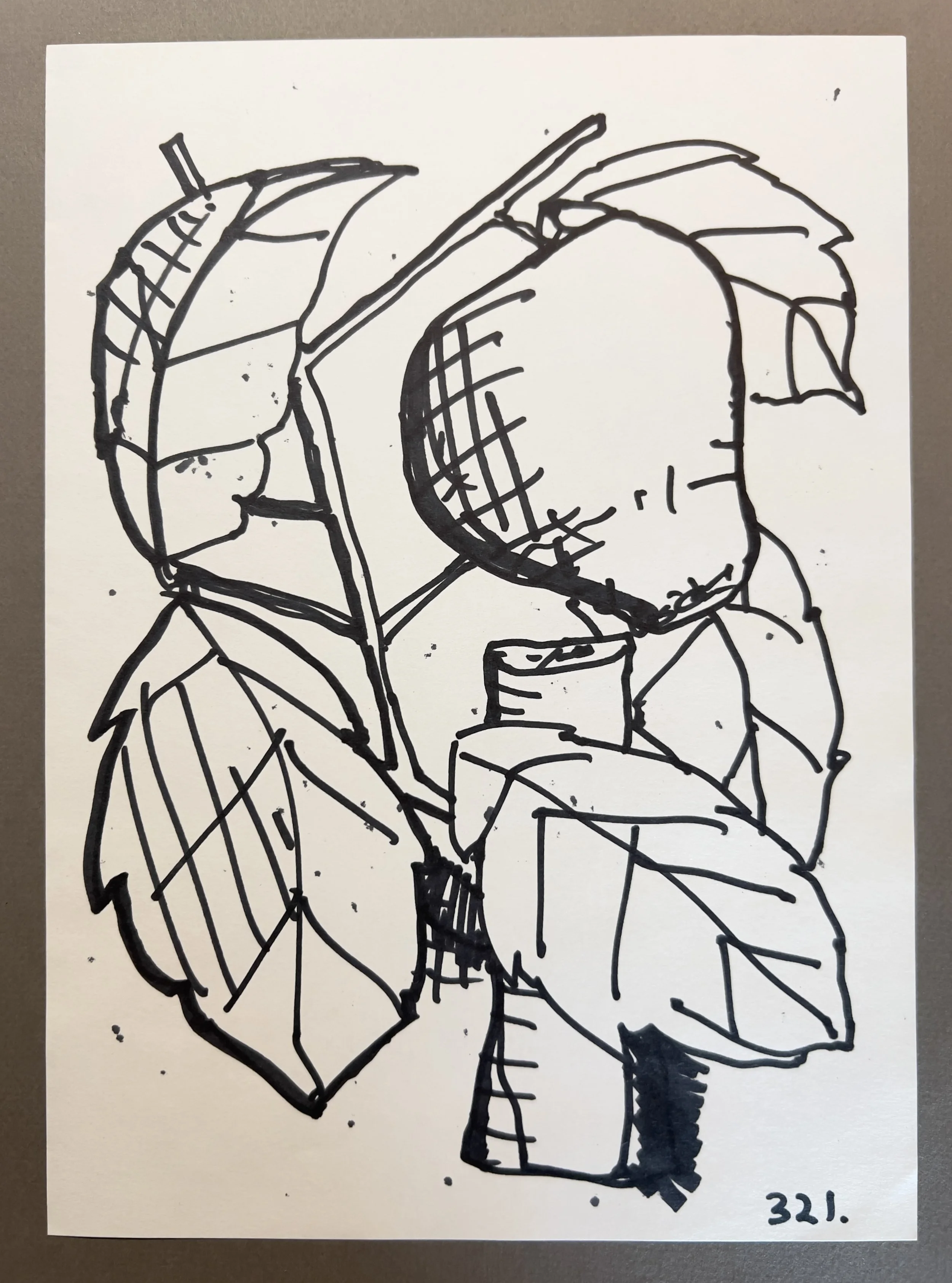 Botanicals 321.