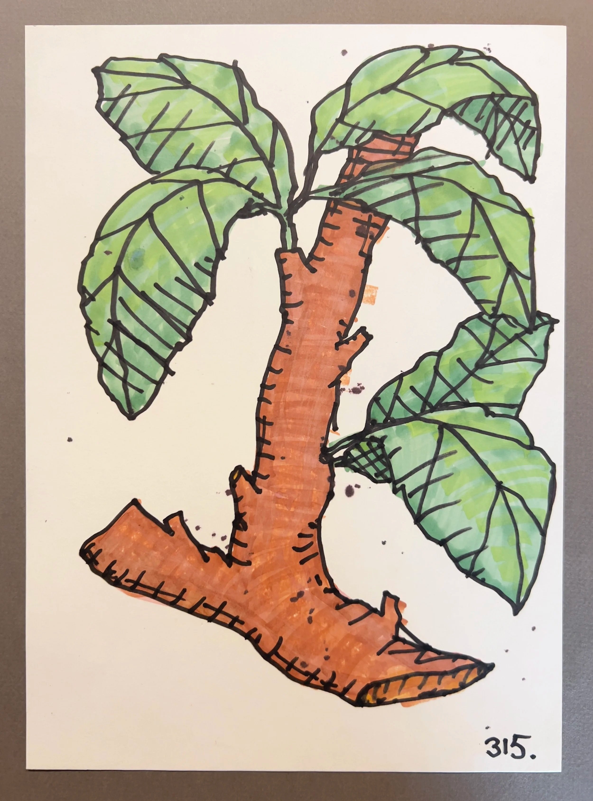 Botanicals 315.