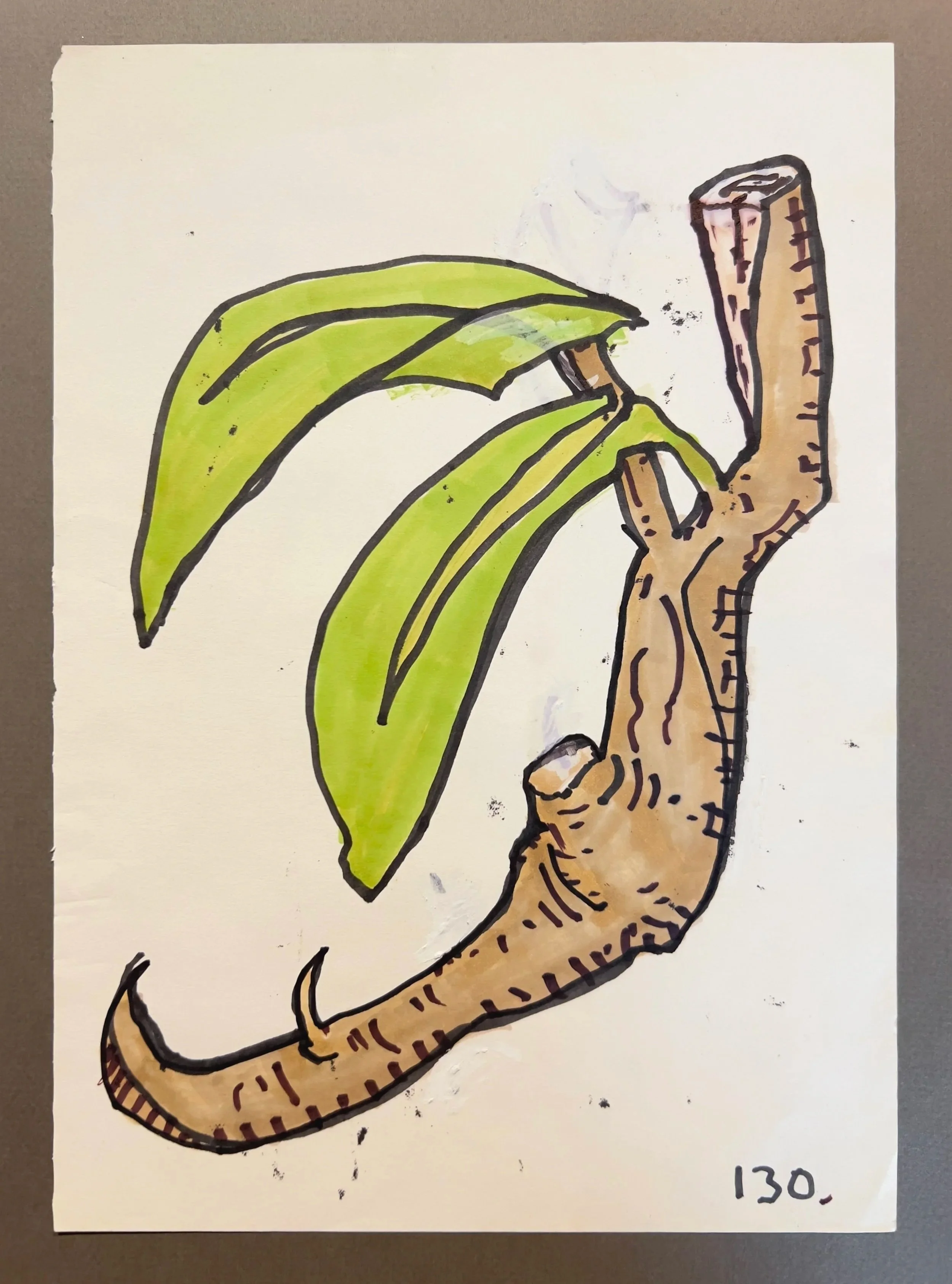 Botanicals 130.