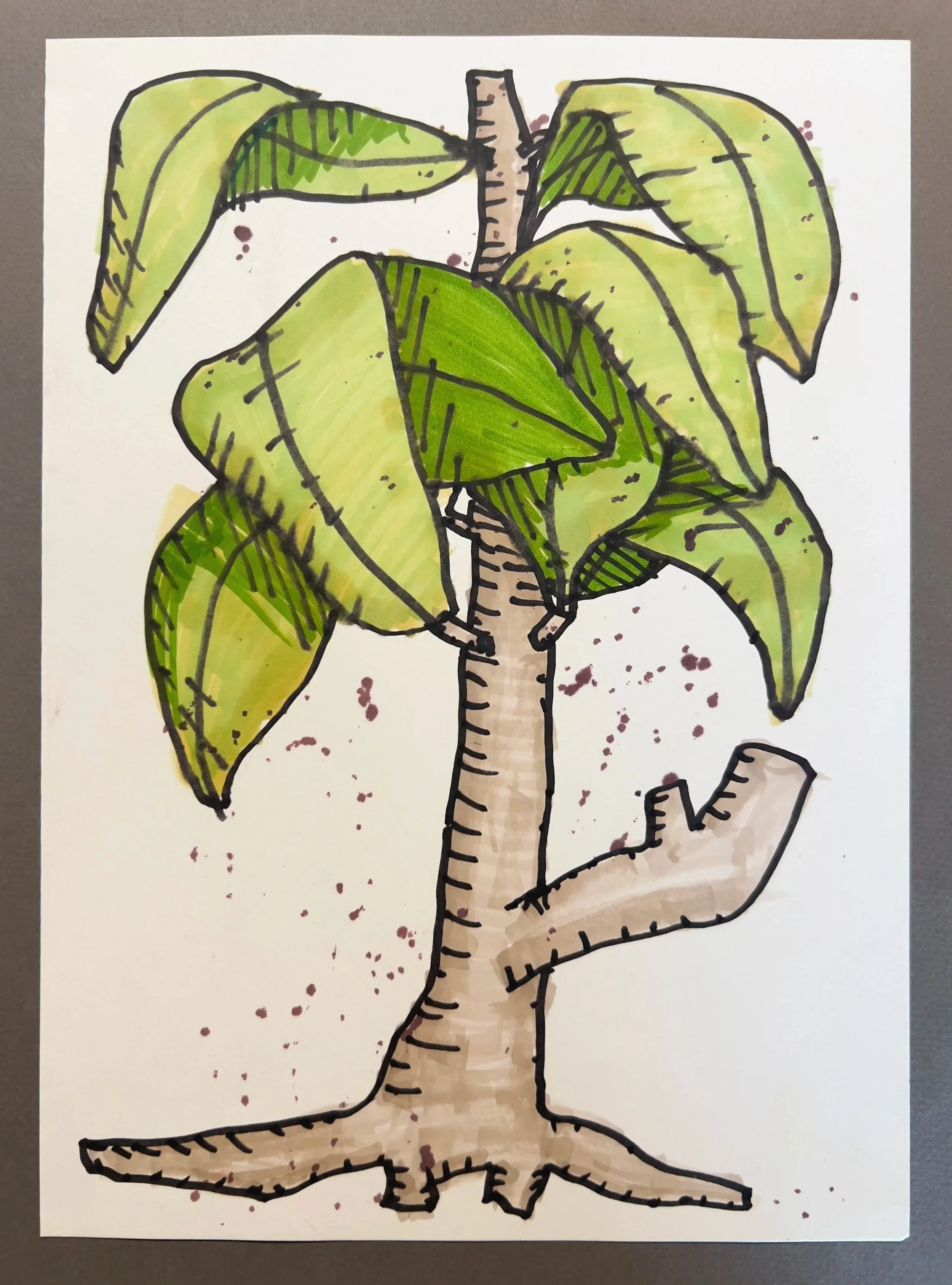 Botanicals Untitiled