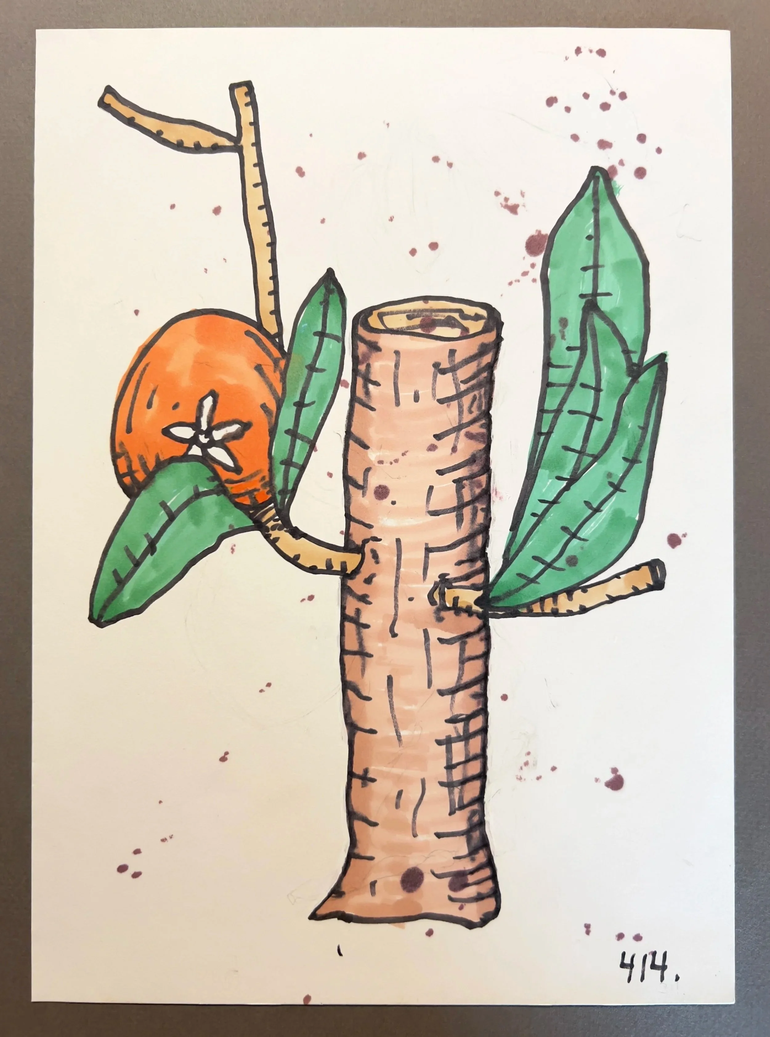 Botanicals 414. II