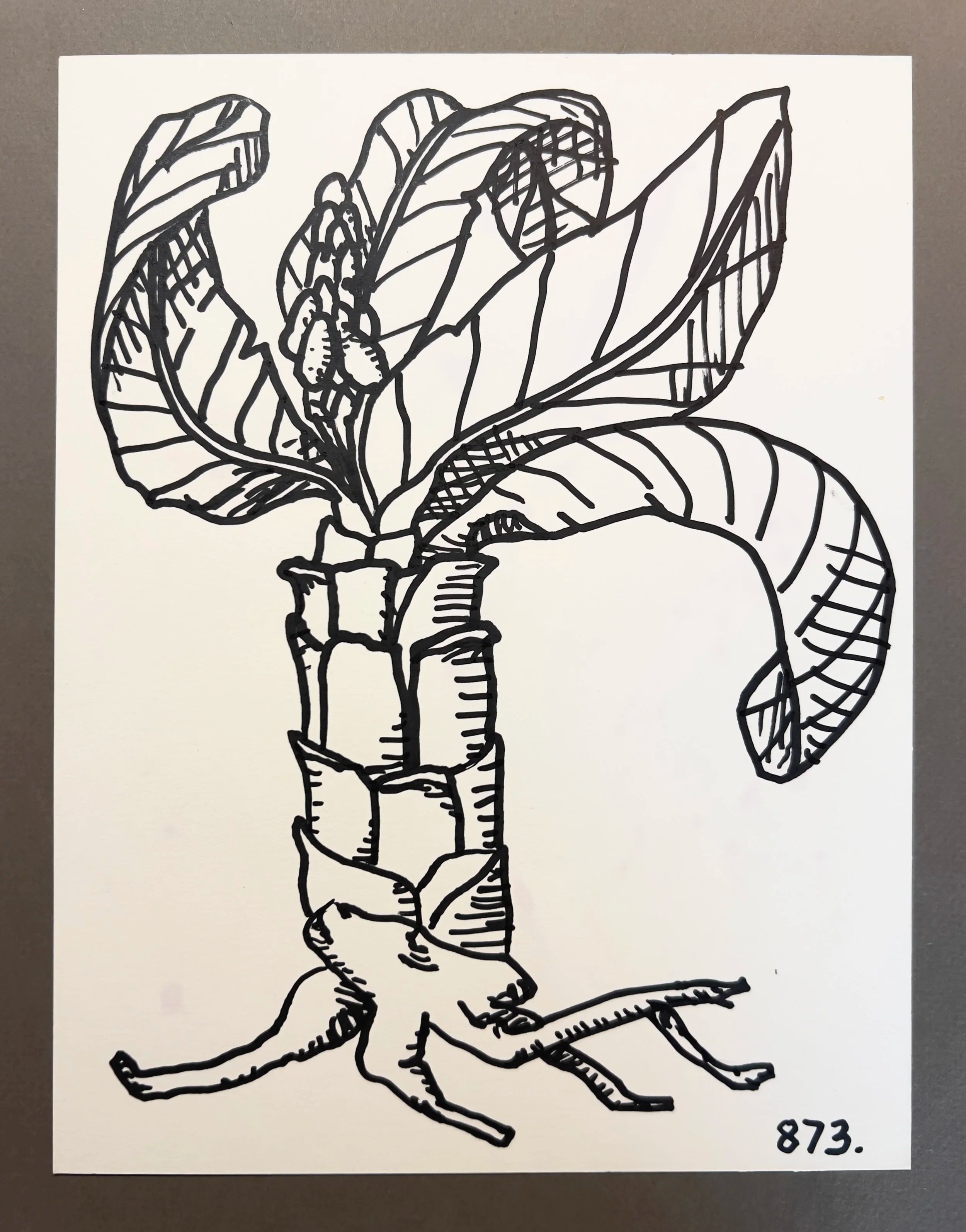 Botanicals 873.