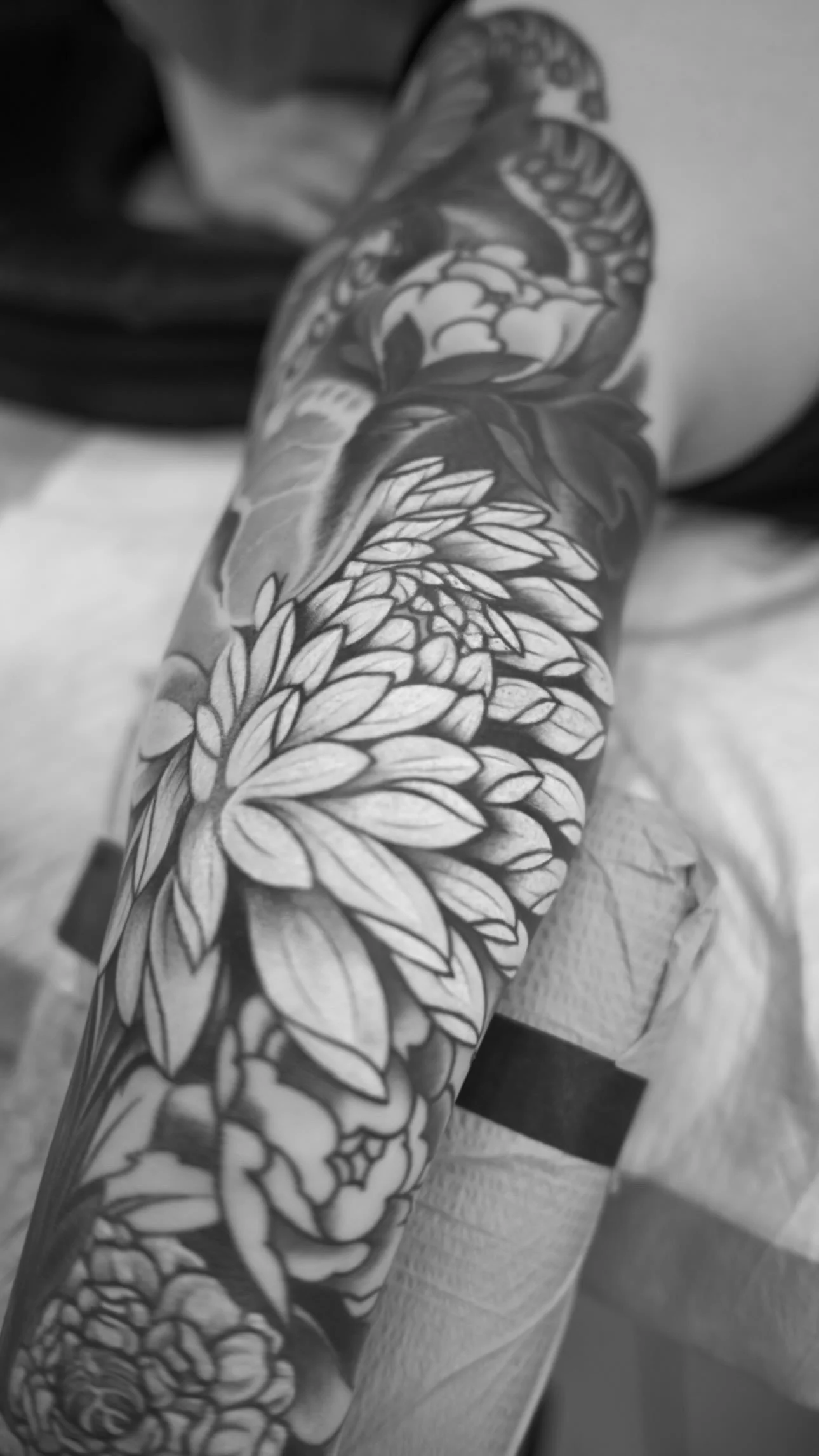 A274605C-EE1B-42C1-A6D5-EBBCD64C3E55.jpg