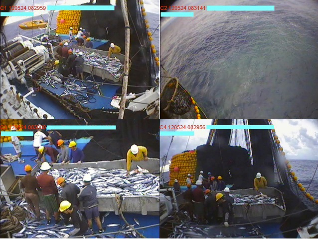 Striving to eliminate illegal, unregulated, and unreported (IUU) tuna fishing by implementing the use of Unique Vessel Identifiers (UVIs), mandating 100% observer coverage for purse seine vessels selling to ISSF Participating Companies, and testing the viability of electronic monitoring systems.